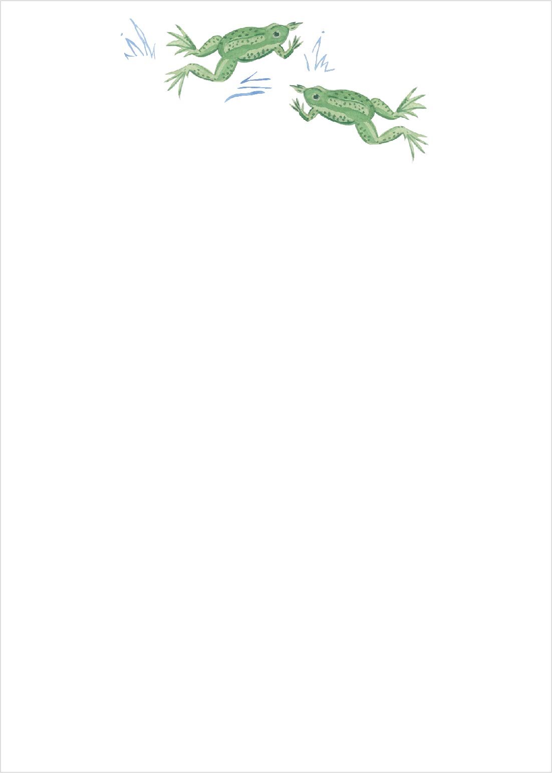 SS - Frog Notepad.jpg
