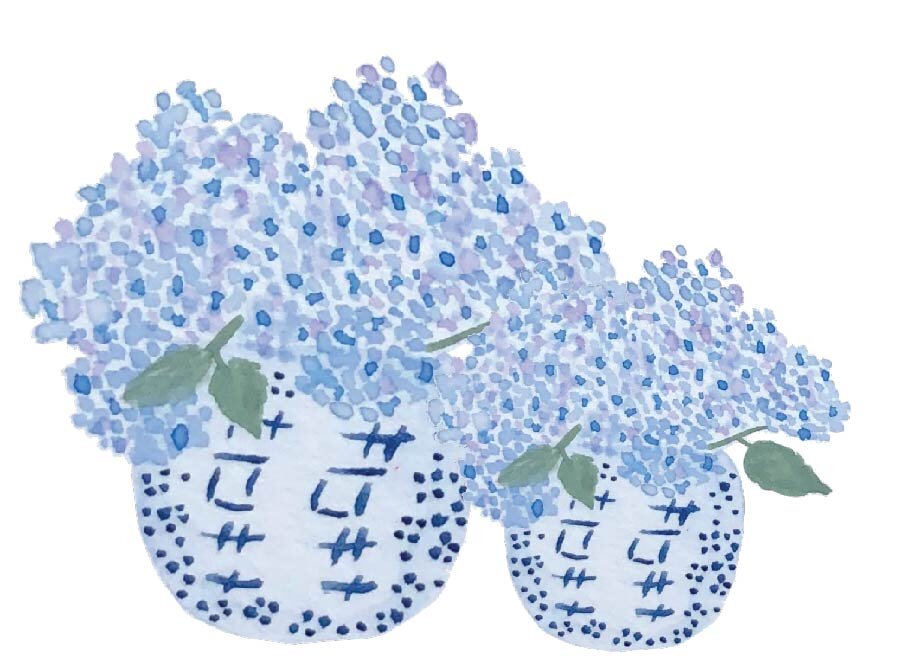 SS - hydrangea in jar image.jpg