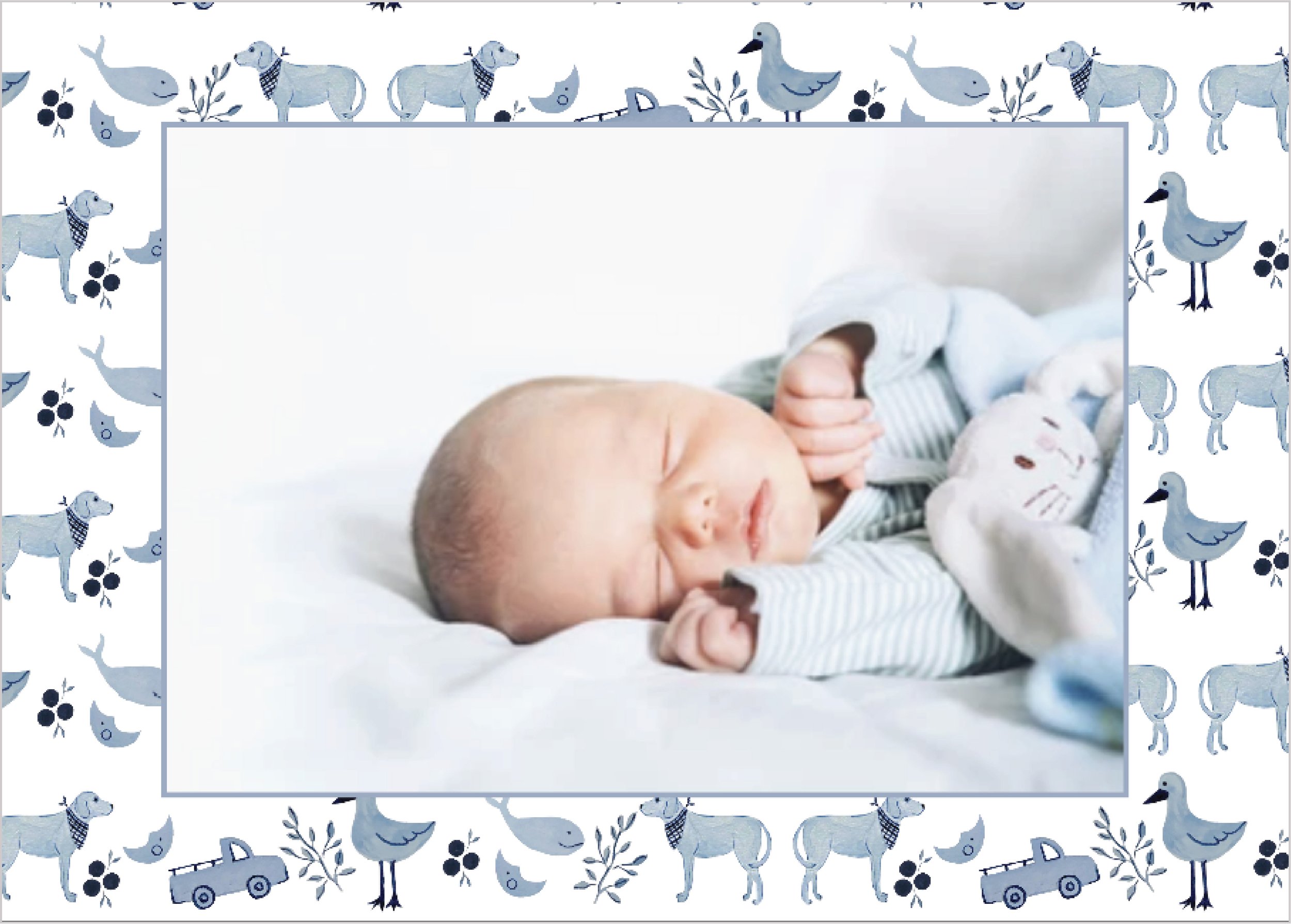 SS - Birth announcement boy blue.jpg