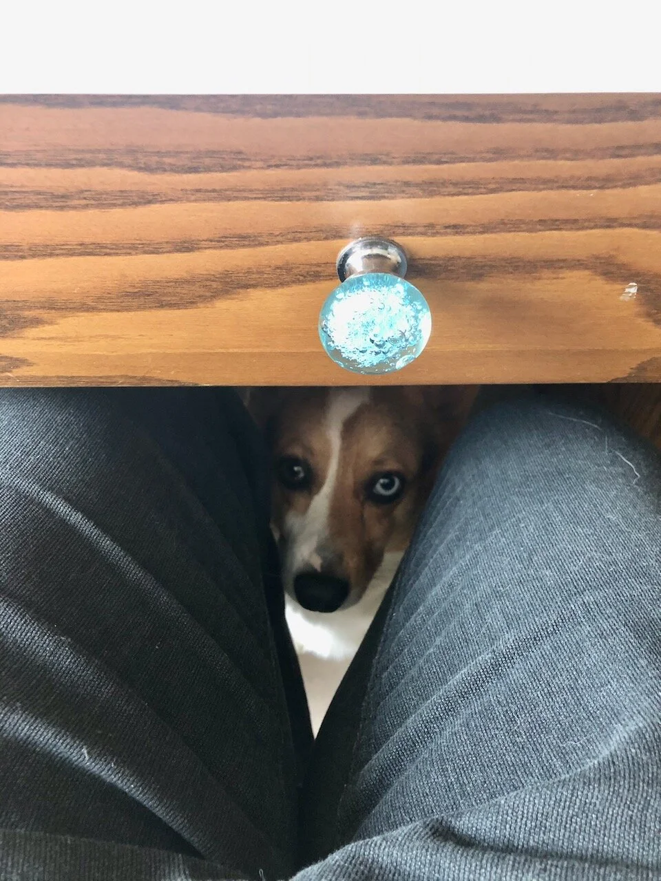 Being on Zoom: The Constant Presence of Each Other's Absence