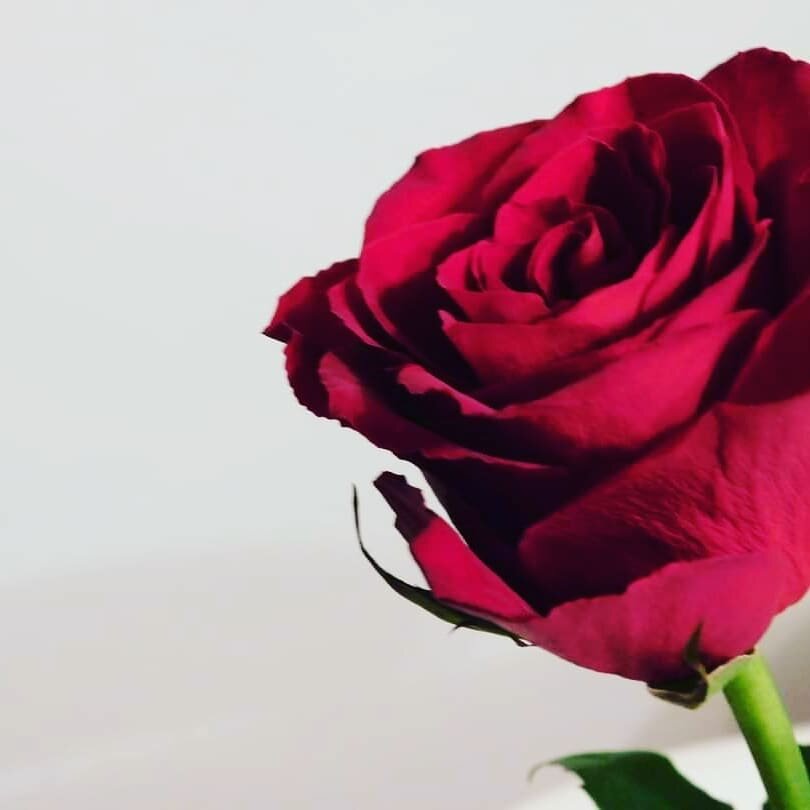 Saint Valentine's day. An international celebration of love! Hope you have all had a great day! Joyeuse Saint Valentin Ann x❤️
#amour #love #saintvalentinesday #aimer #french #france #roses #rosesrouges #learnfrench