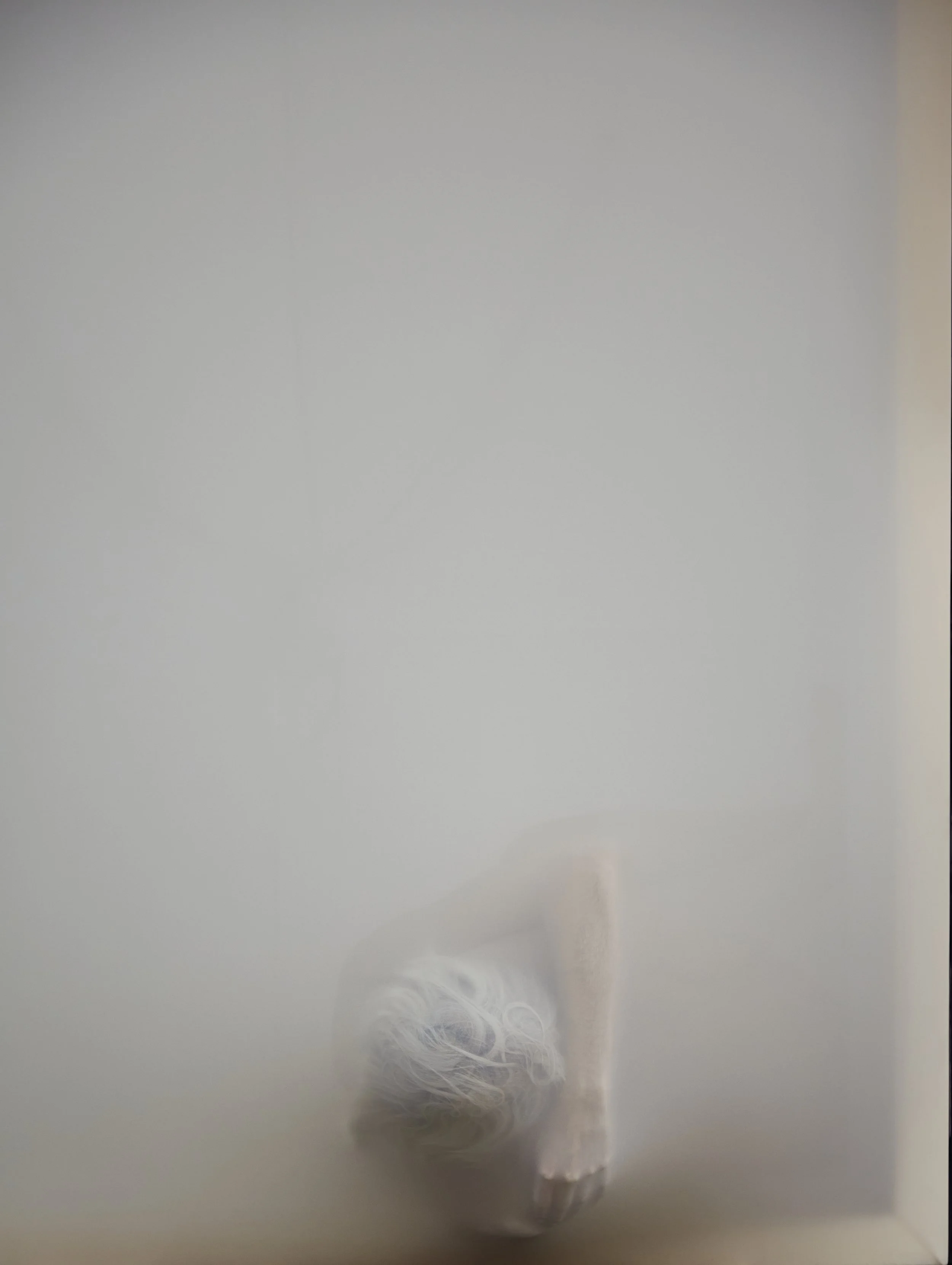 _SX13571.jpg