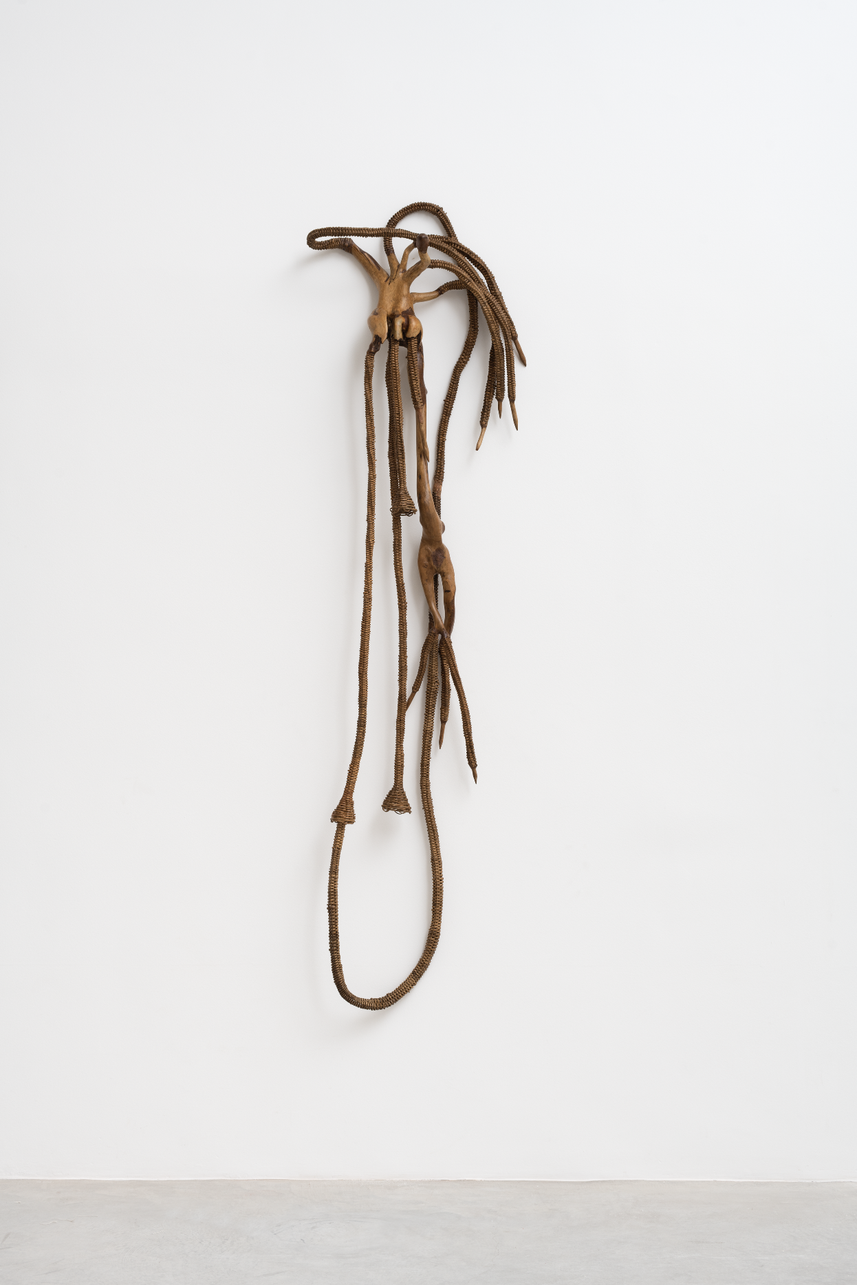 Screenshot 2024-11-07 at 11.23.27 AM.png