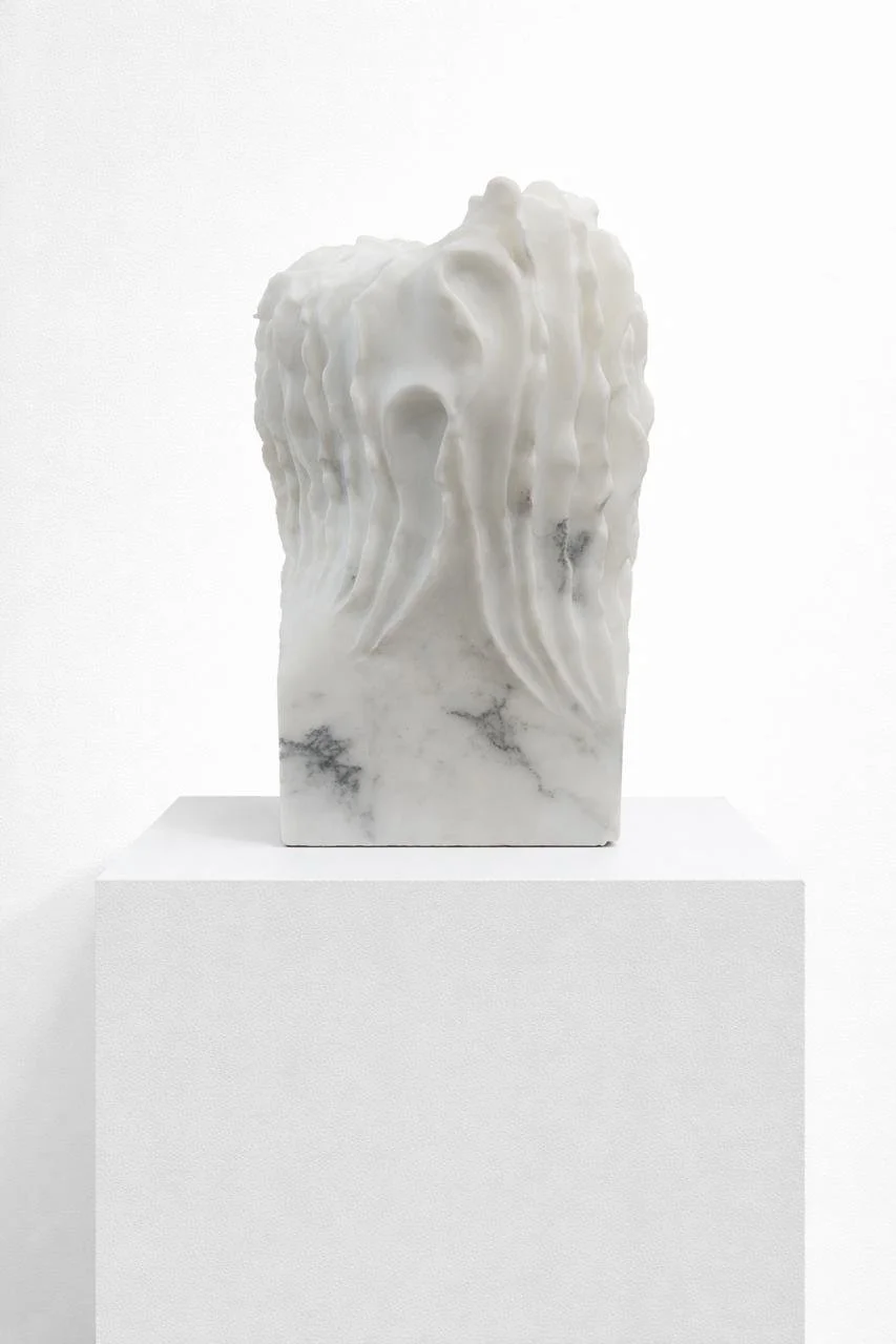 IMAGE 2026-02-25 17:51:39.jpg