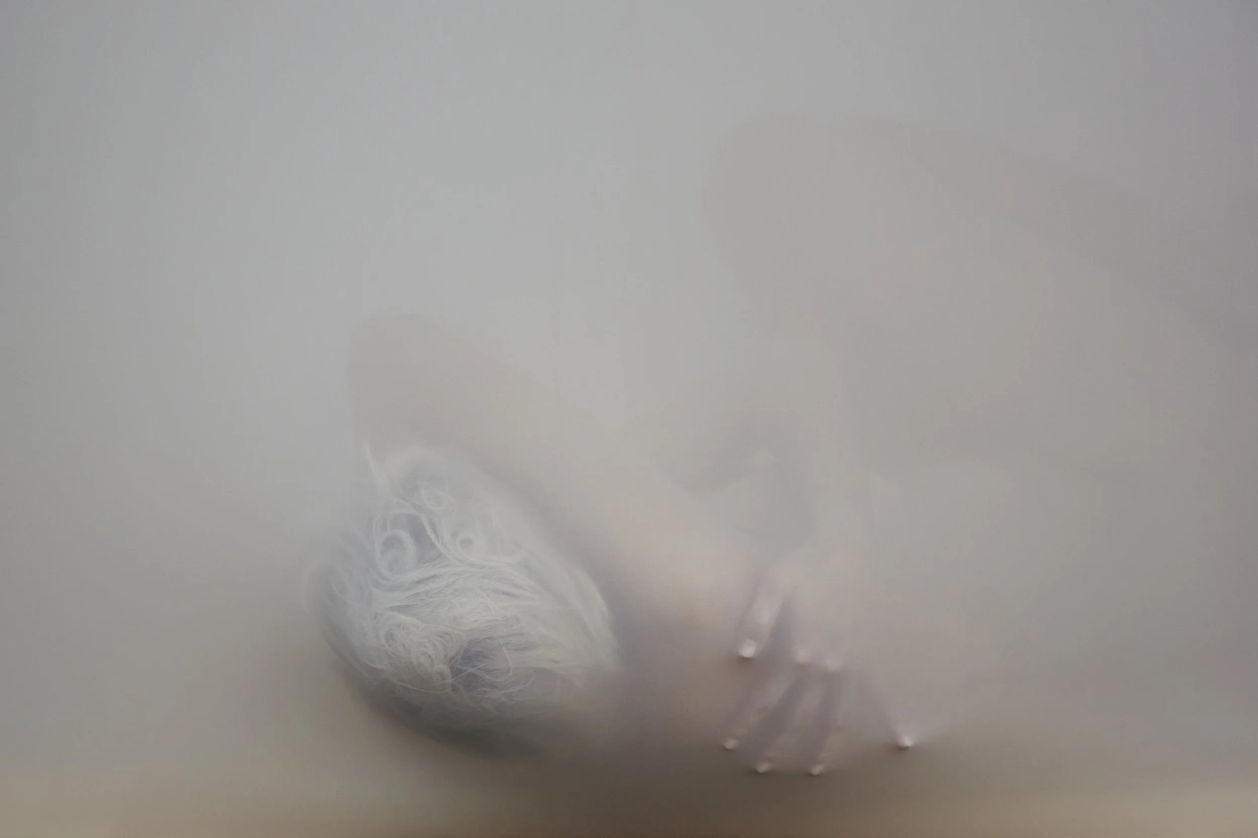 _SX13575.jpg
