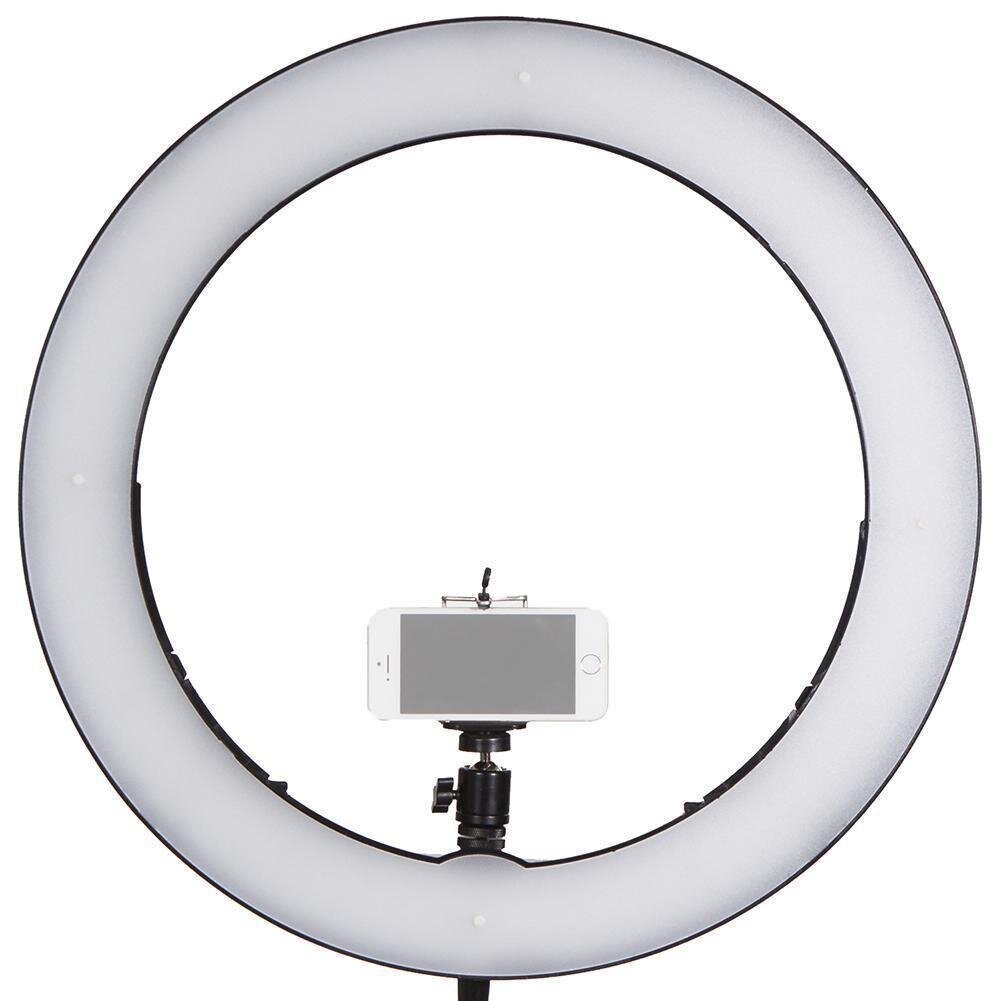 Bestscope Bal-72 LED Ring Light with Cheap Price - China Intensity  Adjustment, Metal Shell and ESD | Made-in-China.com