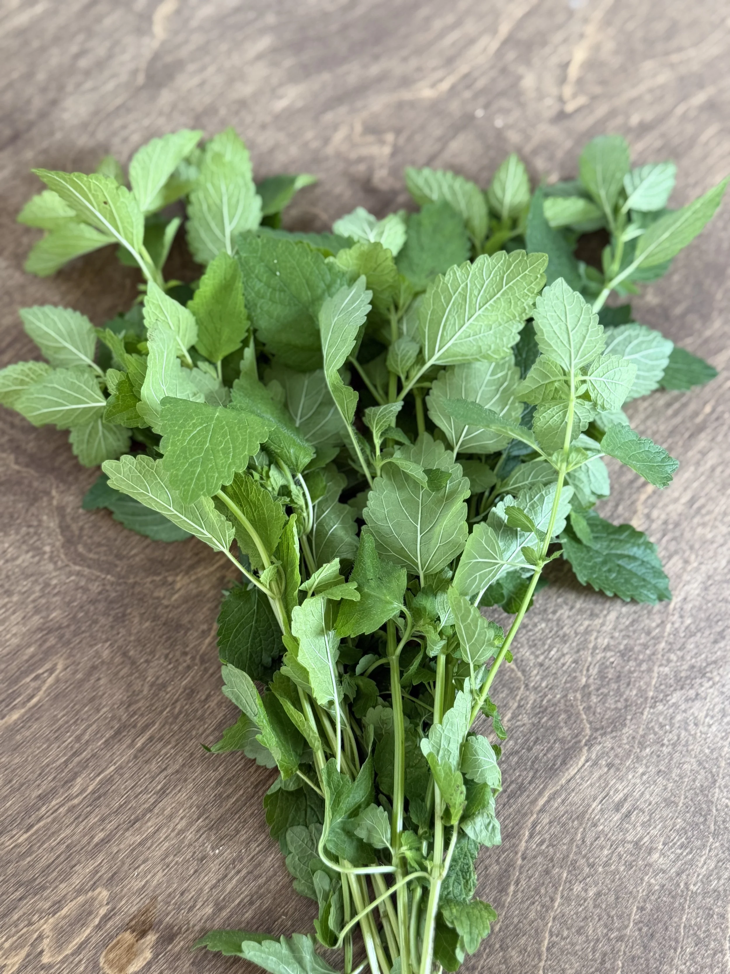 Lemon Balm Bunch