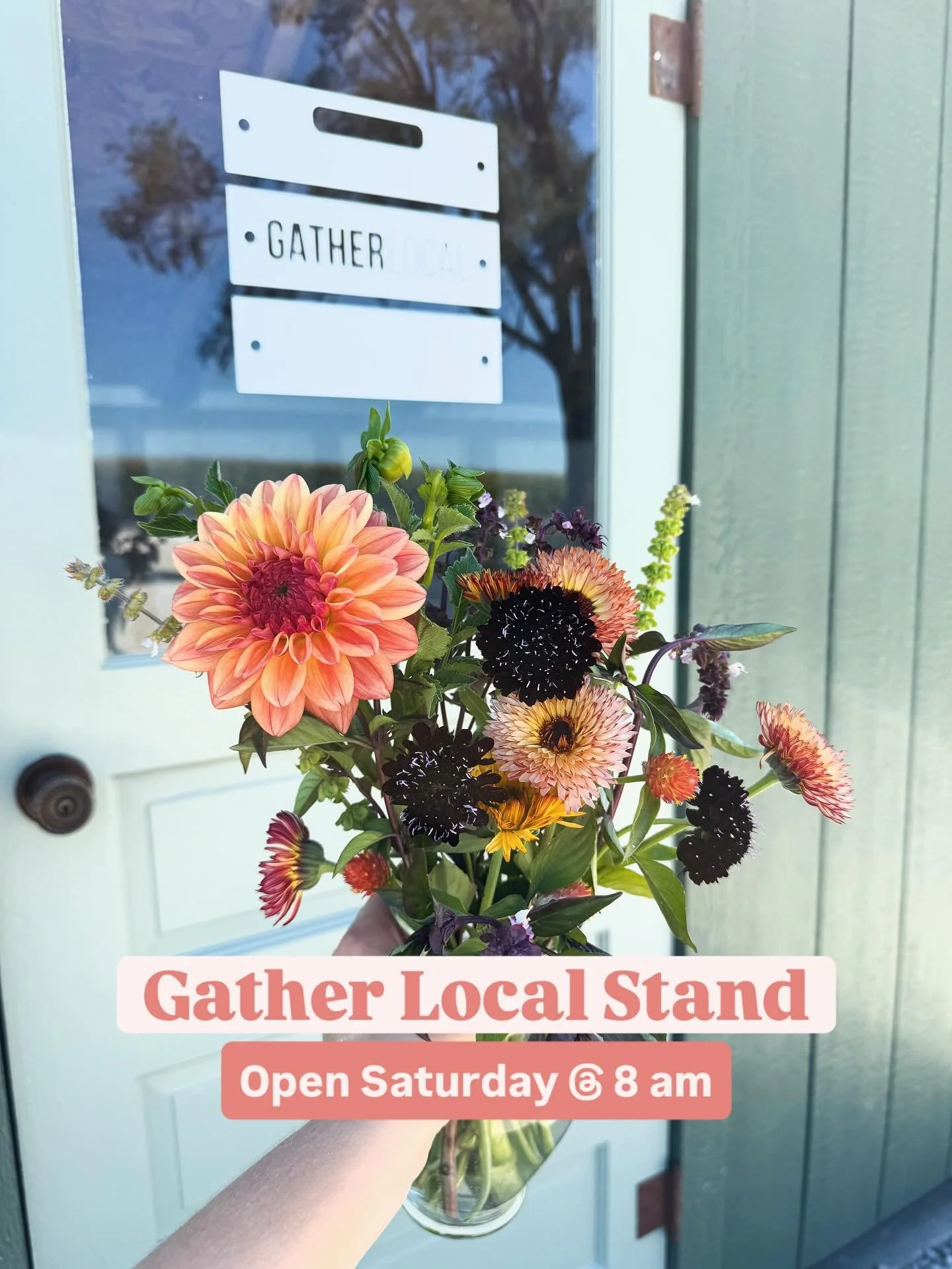 Start your Saturday at the Gather Local Stand! We&rsquo;ll be open Saturday at 8 am! You can find us at 5531 W 200 S, Marion, IN 46953.

We&rsquo;ll have farm fresh flowers (to bring the beauty🌻) and jalape&ntilde;os (to pack the heat🌶️) grown loca