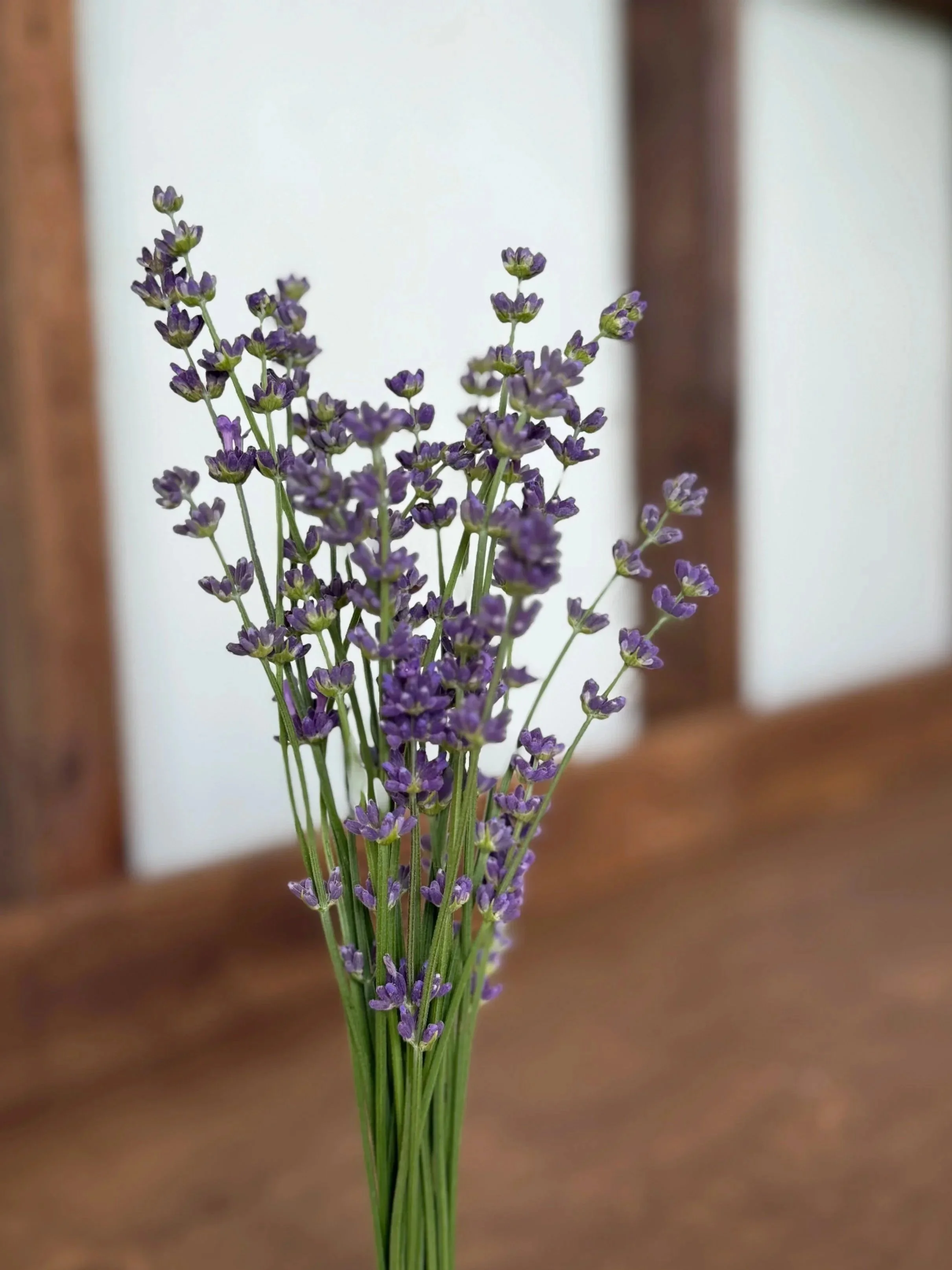 Lavender.jpg