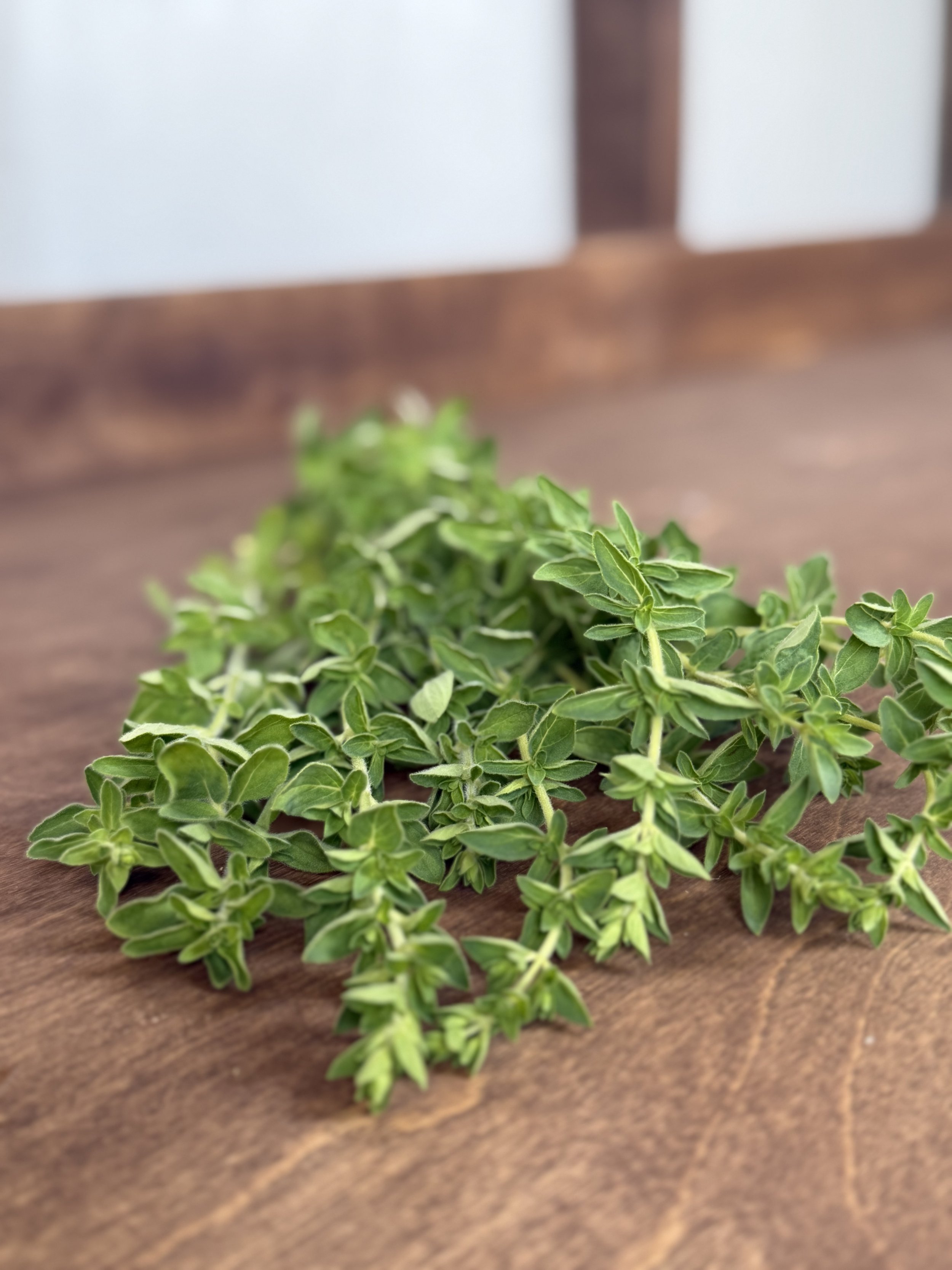 Oregano Bunch