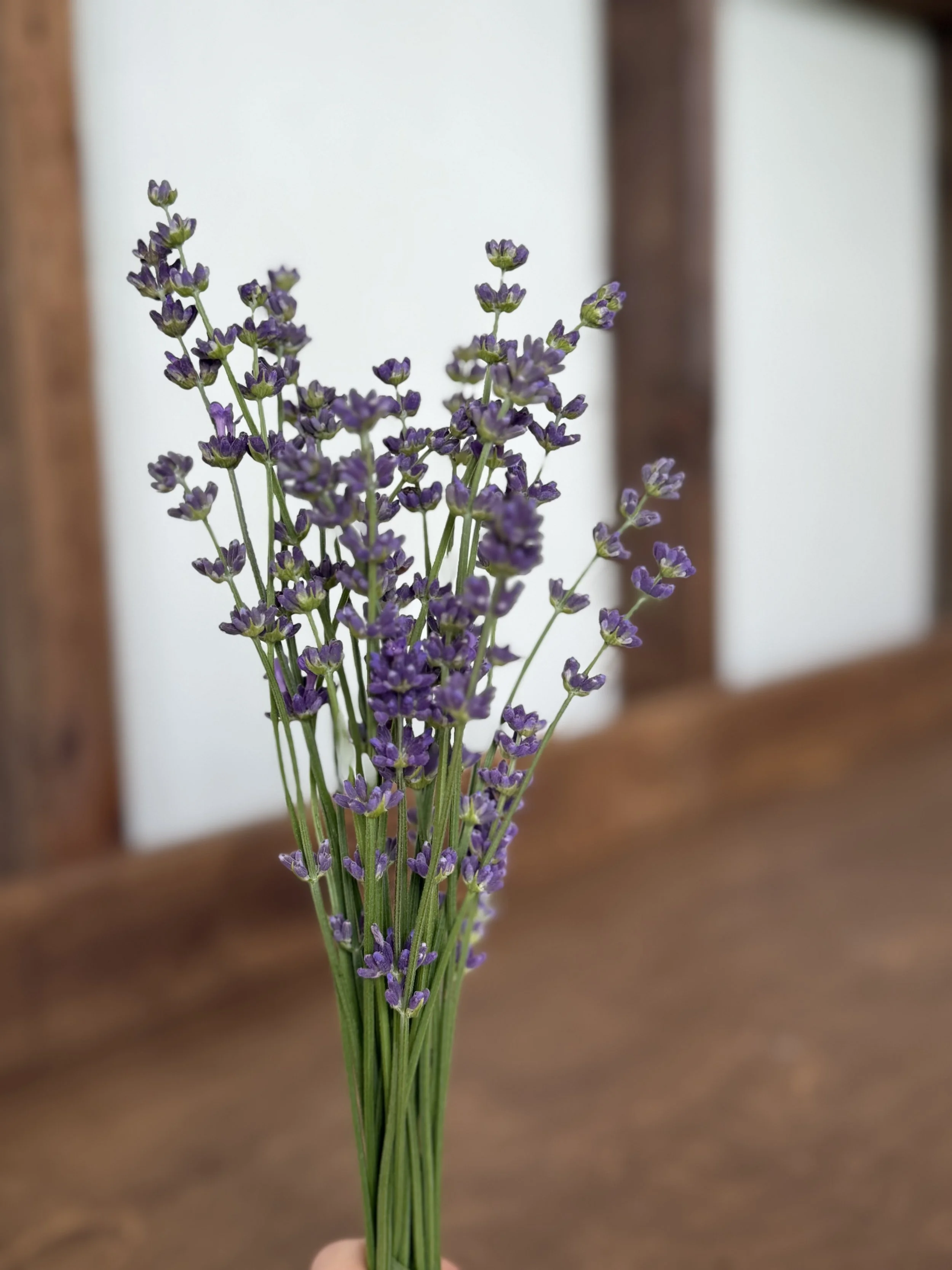Lavender Bunch