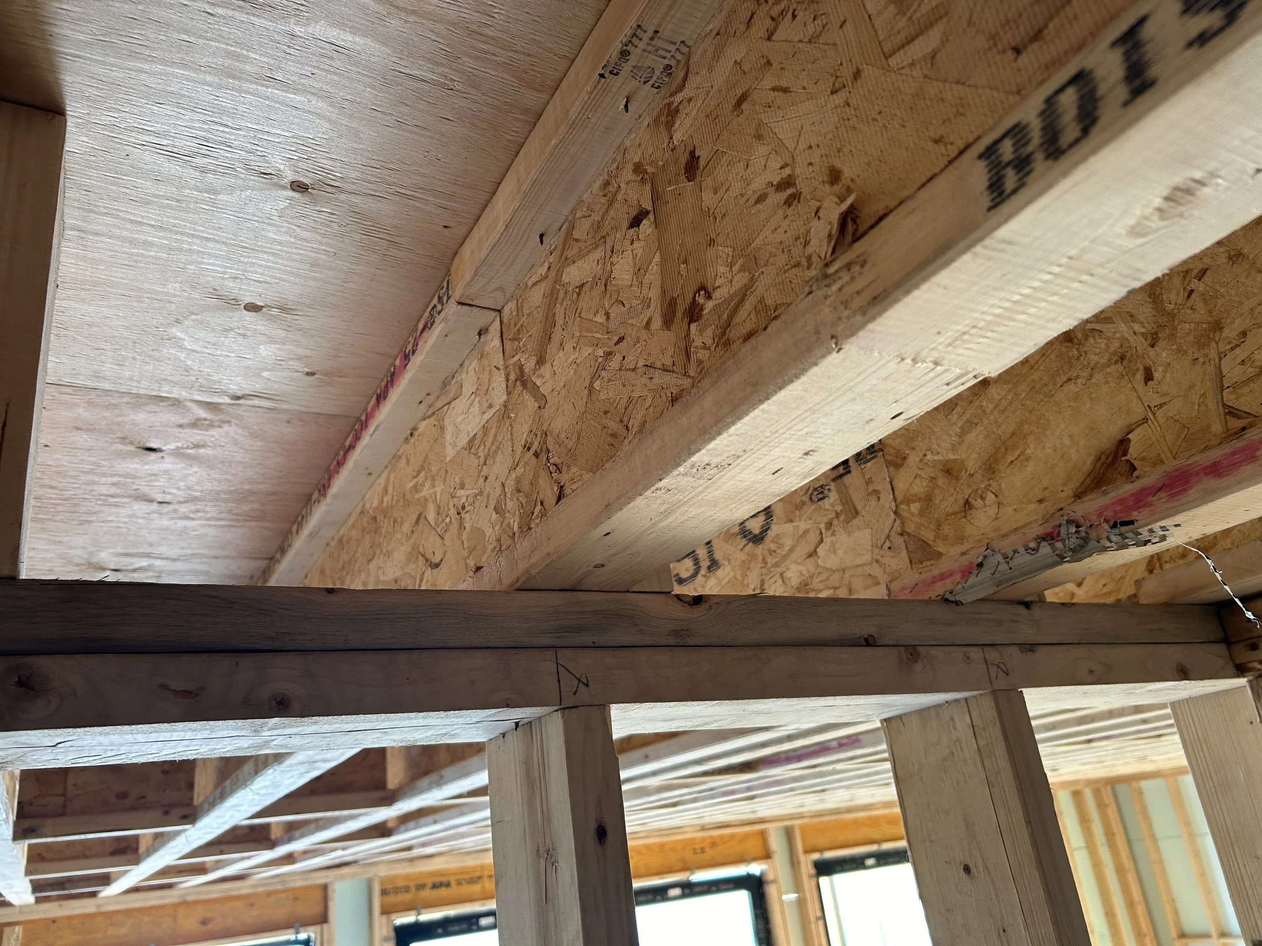 Load-bearing wall from our Lake Promenade framing project. You can see 2 separate TJI floor joists "bearing" on the top plates of the wall directly above the stud.