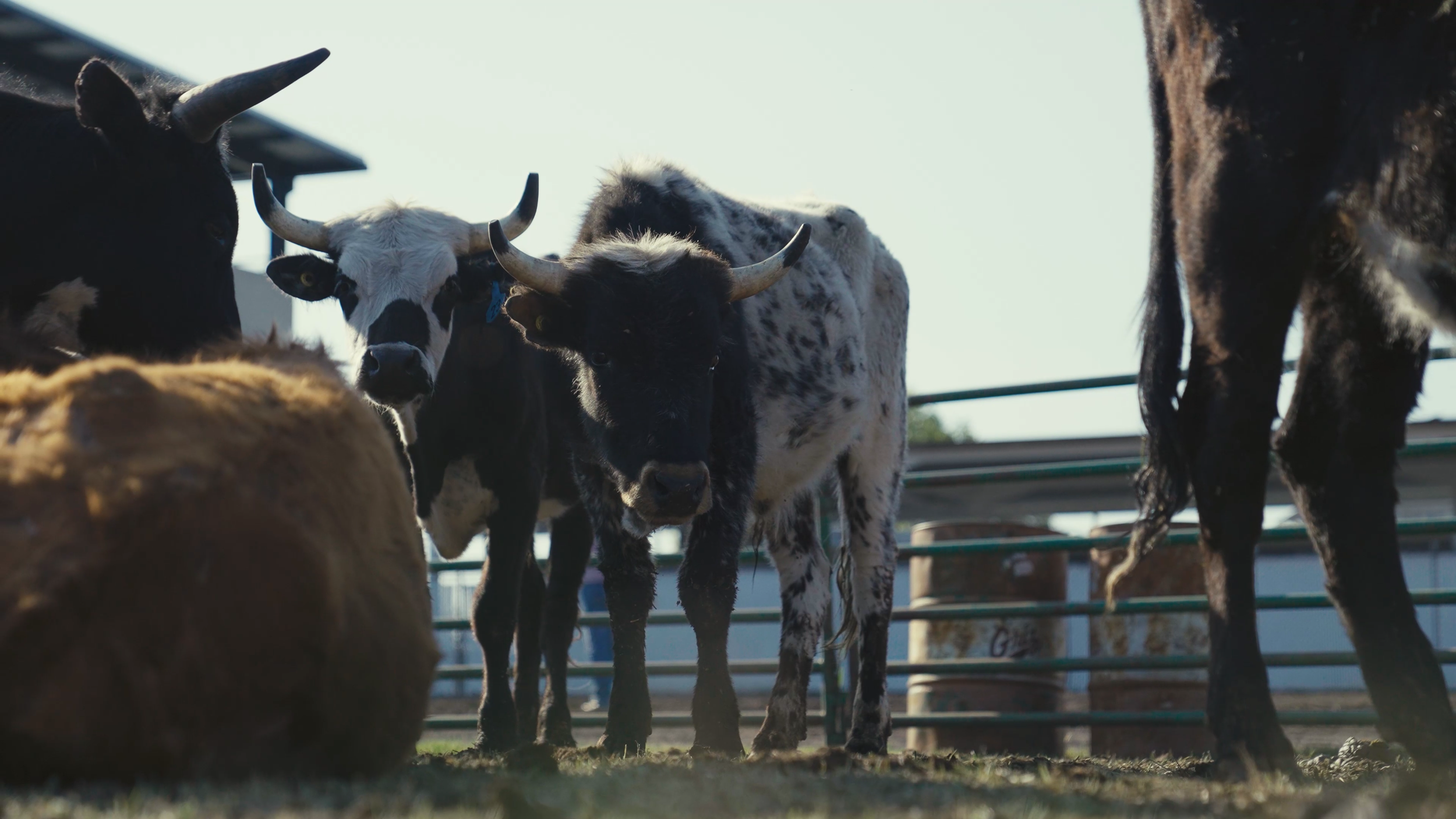 Screenshot 2025-11-24 at 10.39.07 AM.png