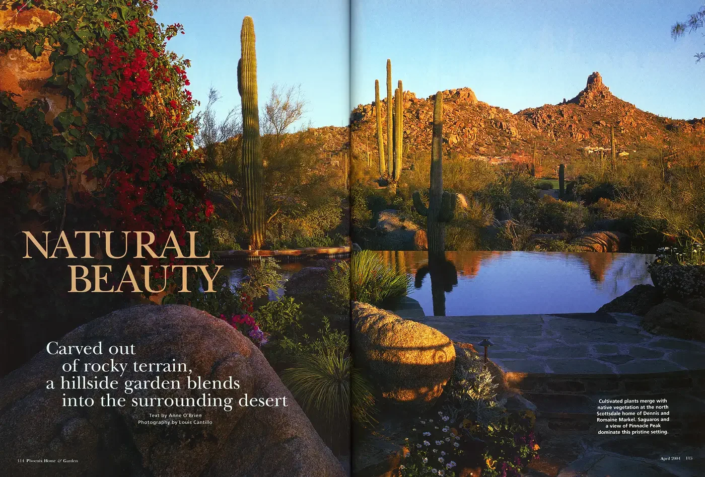 Natural Beauty
