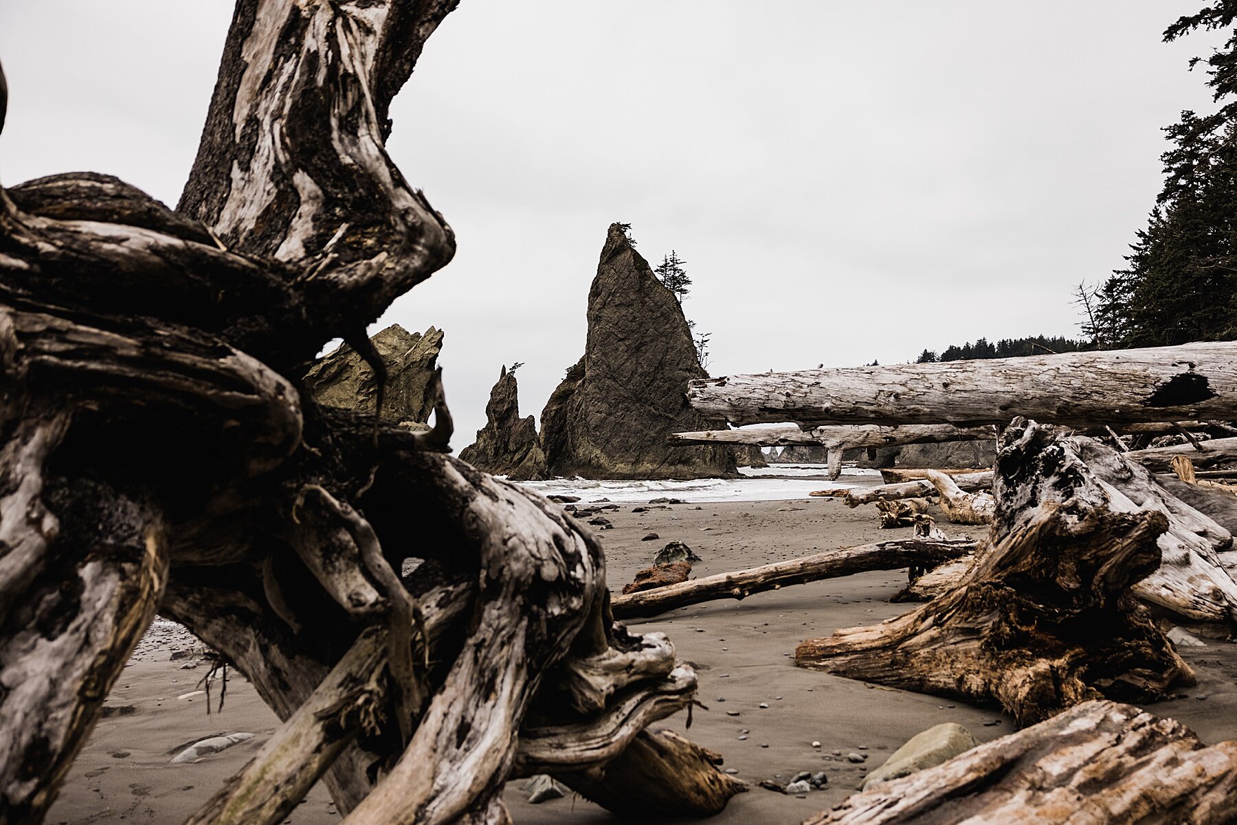 Olympic National Park Elopement | Washington Elopement Photographer | Vow of the Wild