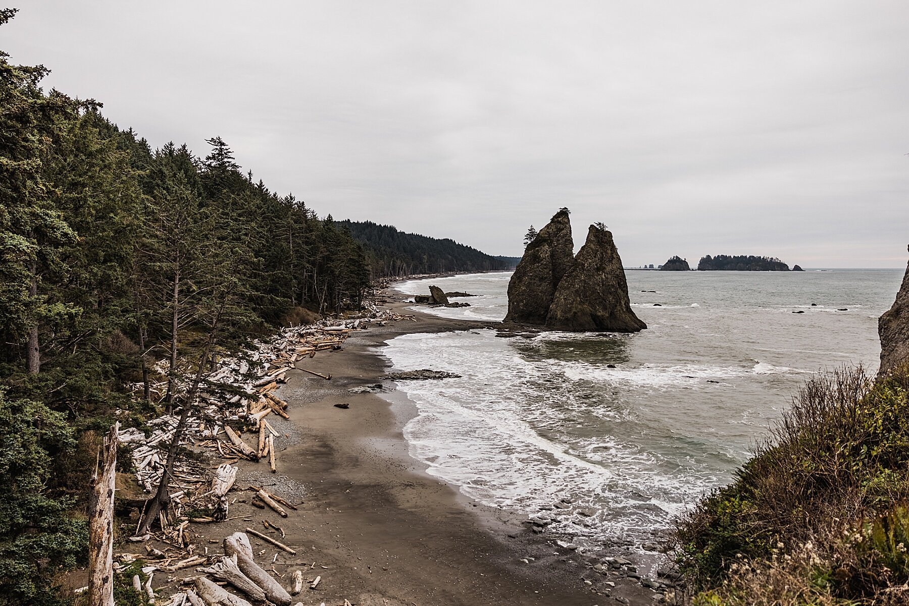 Olympic National Park Elopement | Washington Elopement Photographer | Vow of the Wild