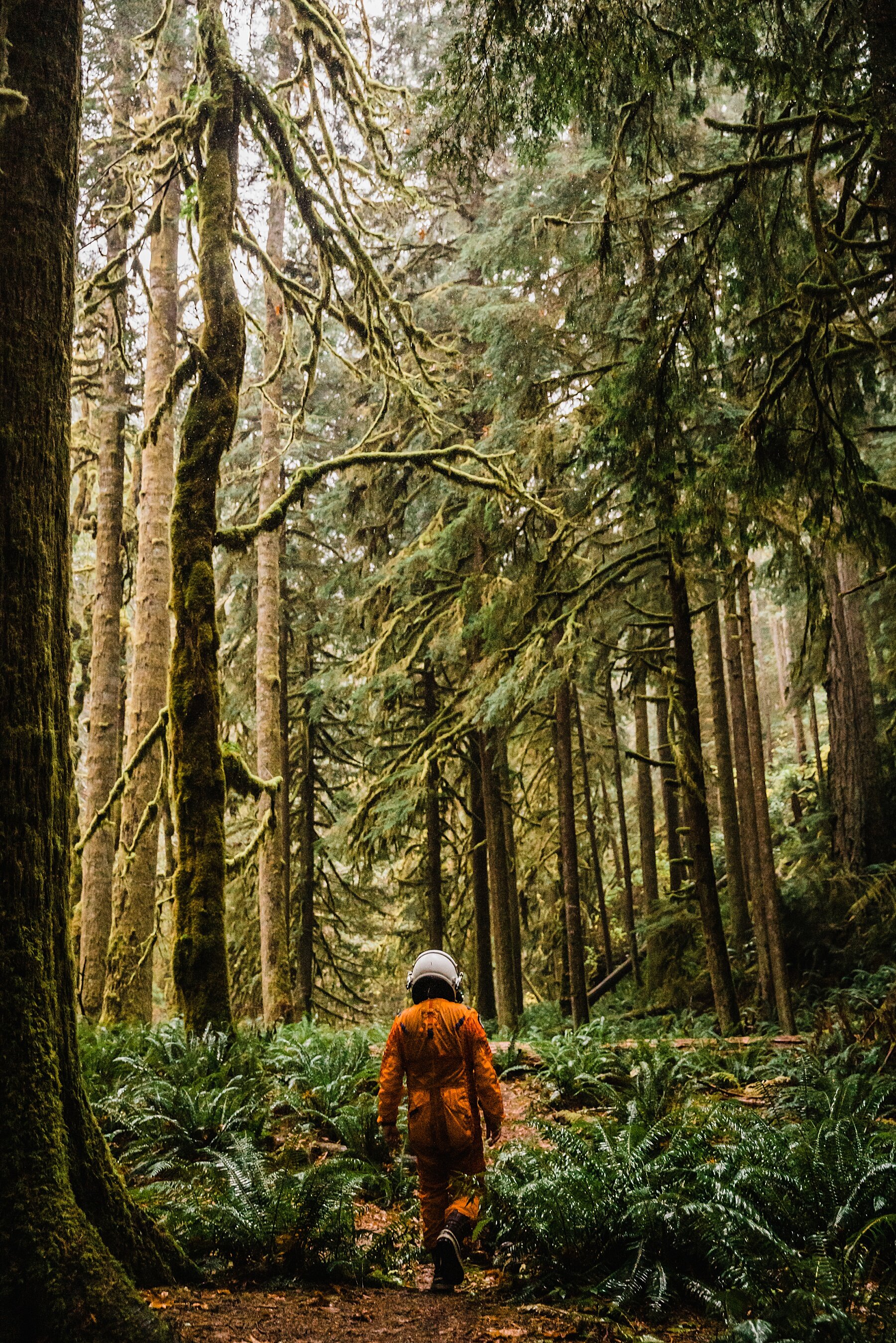 Olympic National Park Elopement | Washington Elopement Photographer | Vow of the Wild