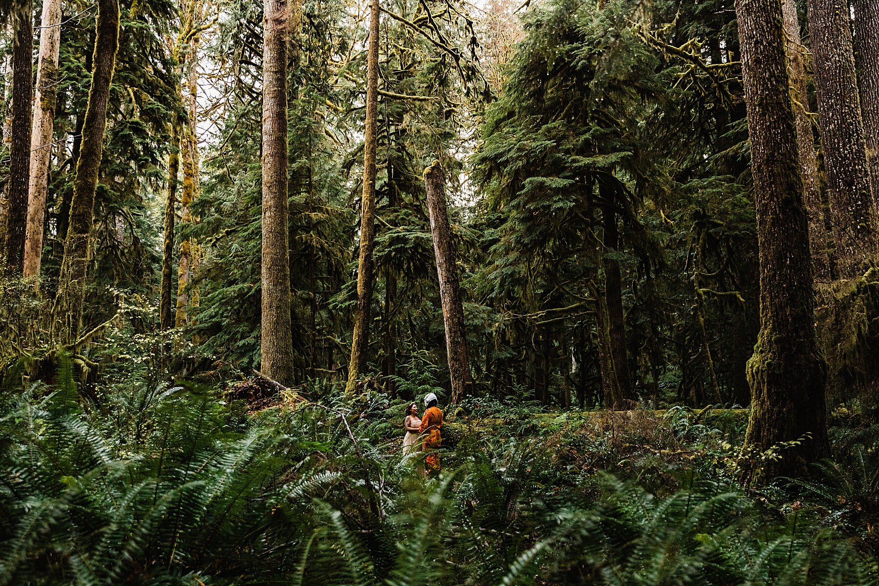 Olympic National Park Elopement | Washington Elopement Photographer | Vow of the Wild