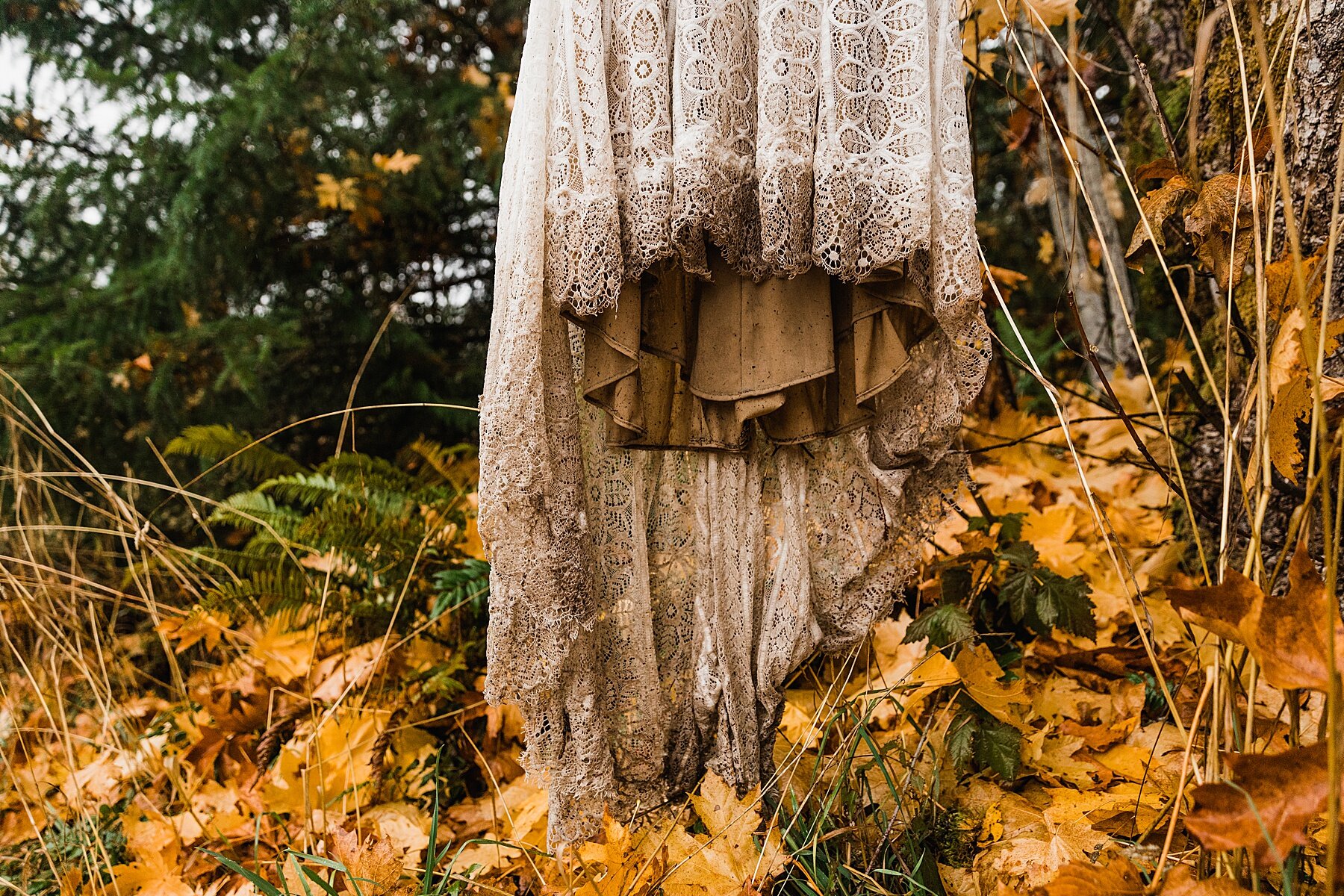 Olympic National Park Elopement | Washington Elopement Photographer | Vow of the Wild