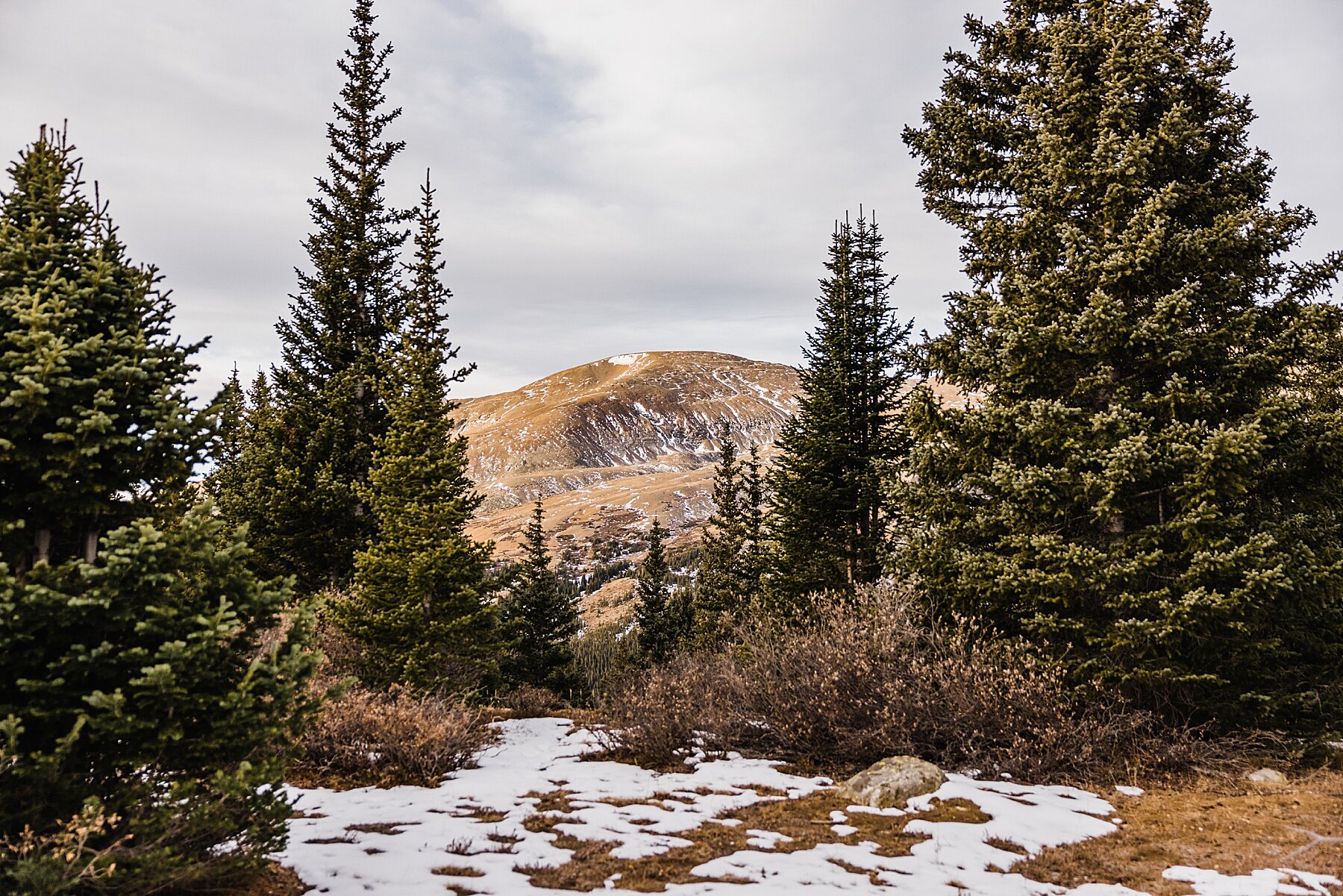 Sunrise Winter Elopement in Colorado | LGBTQ Elopement Photographer | Vow of the Wild