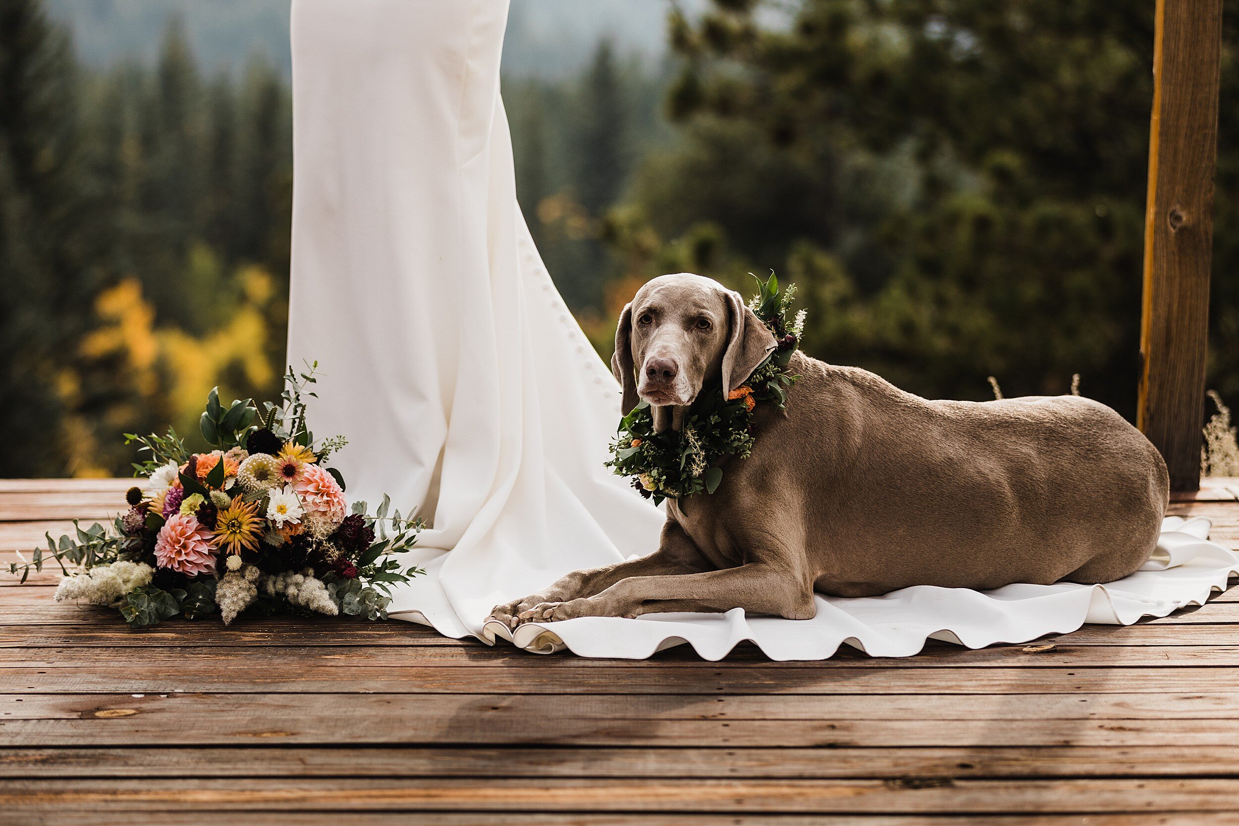 Colorado-Elopement-Photographer-Best-of-2020_015.jpg