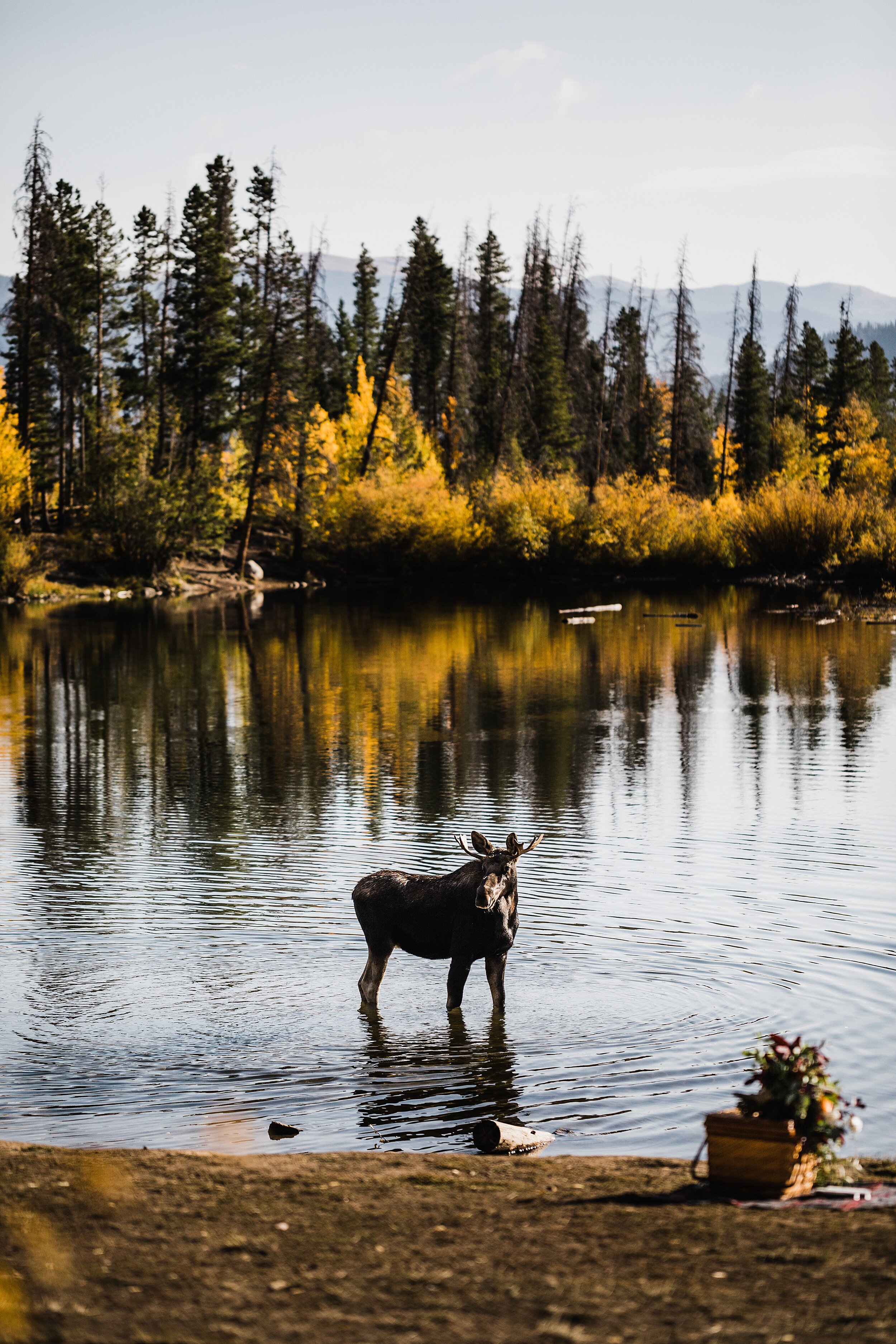 Colorado-Elopement-Photographer-Best-of-2020_021.jpg