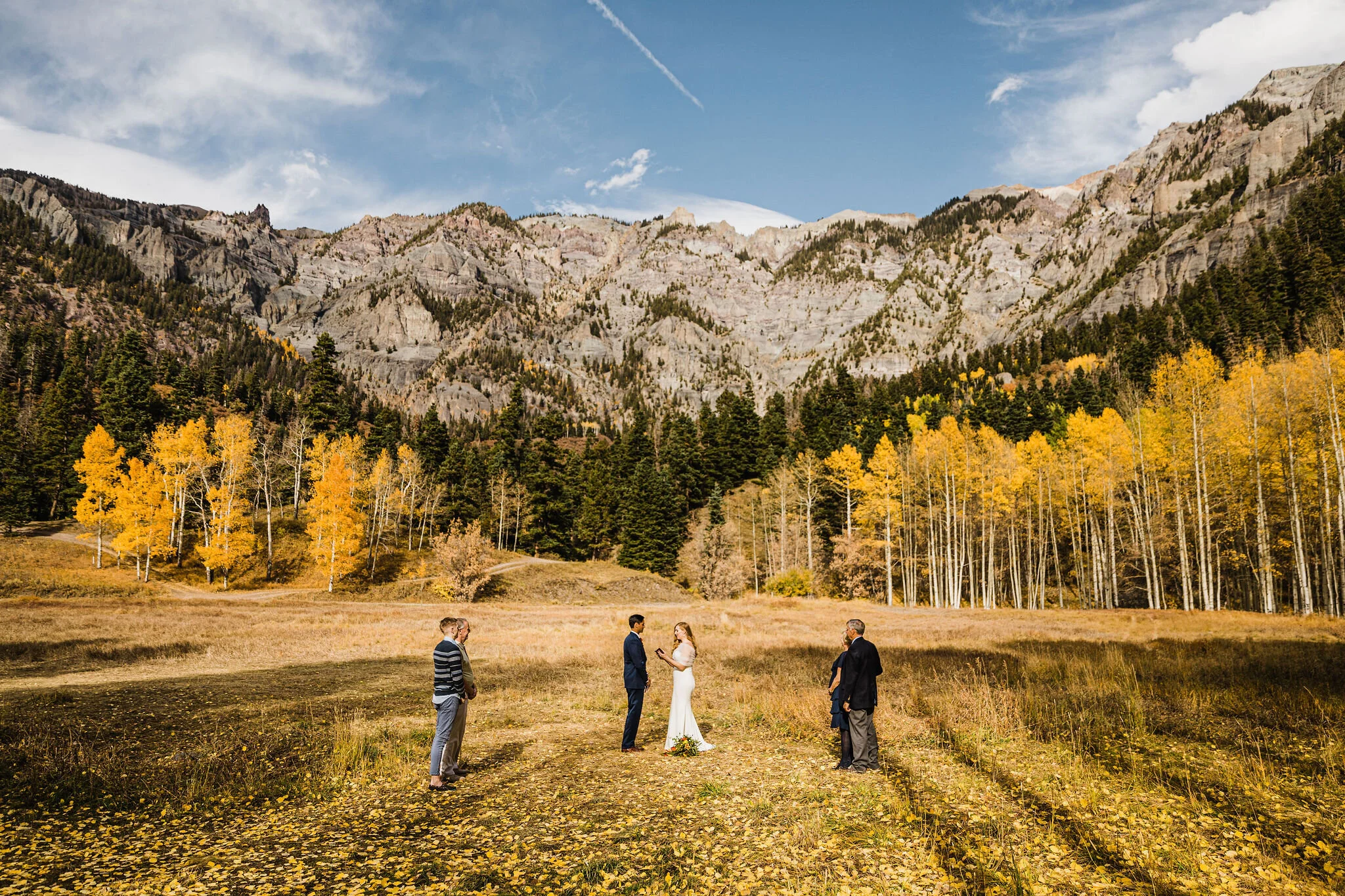 Elopement at a Meadow in Ouray