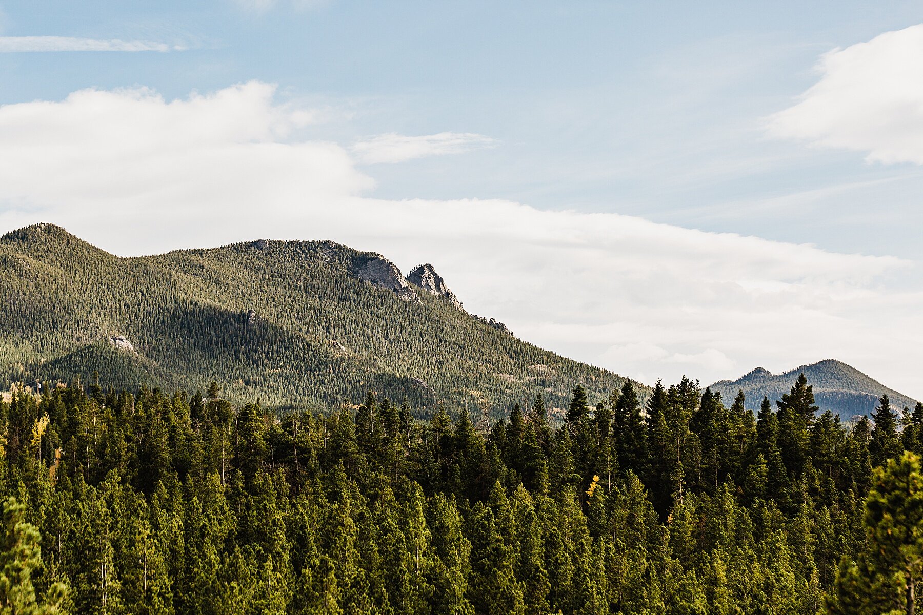 Fall Colorado Elopement | Dog-Friendly Elopement | Vow of the Wild