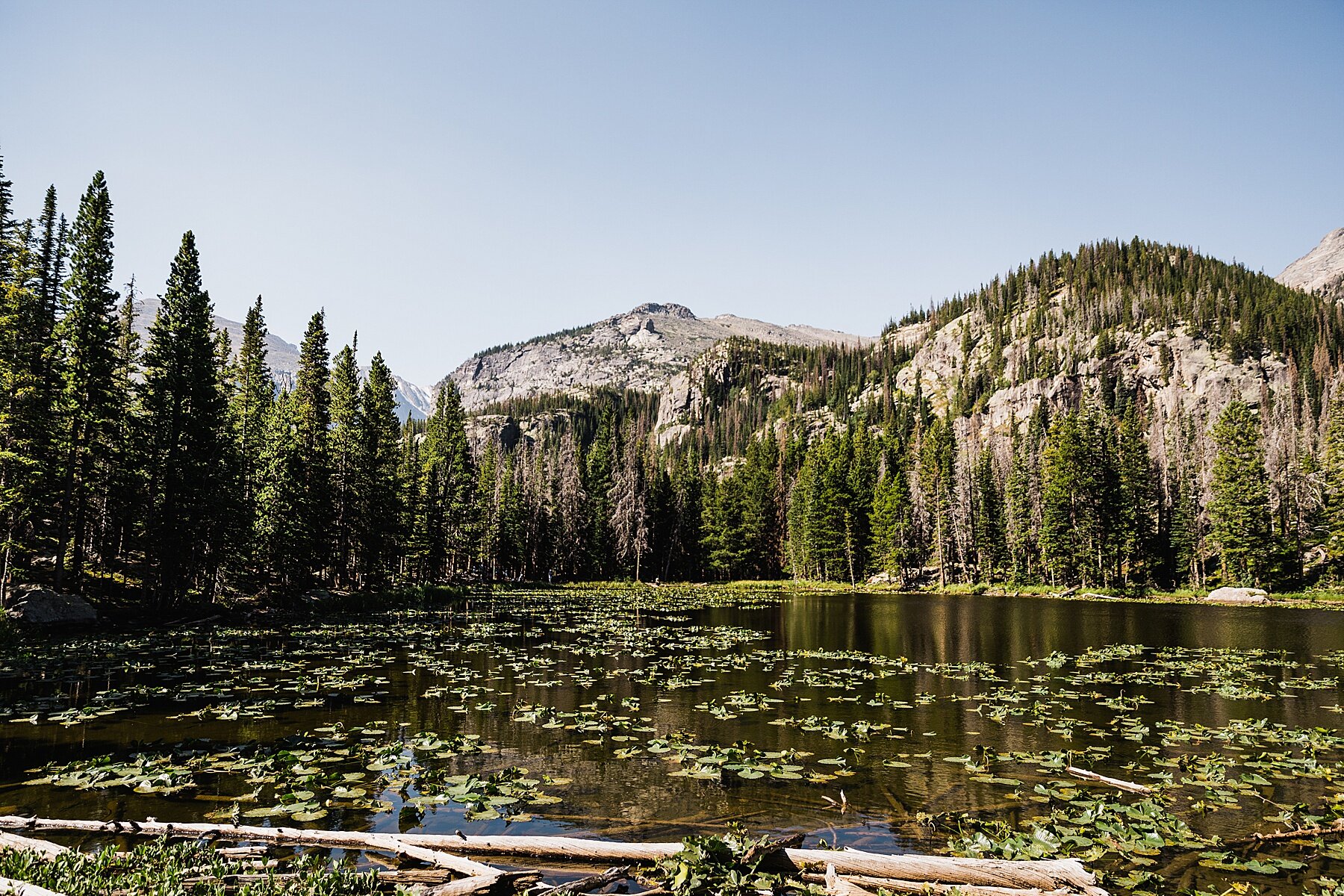 Sunrise Elopement at Sprague Lake in Rocky Mountain National Park | Colorado Elopement Photographer | Vow of the Wild