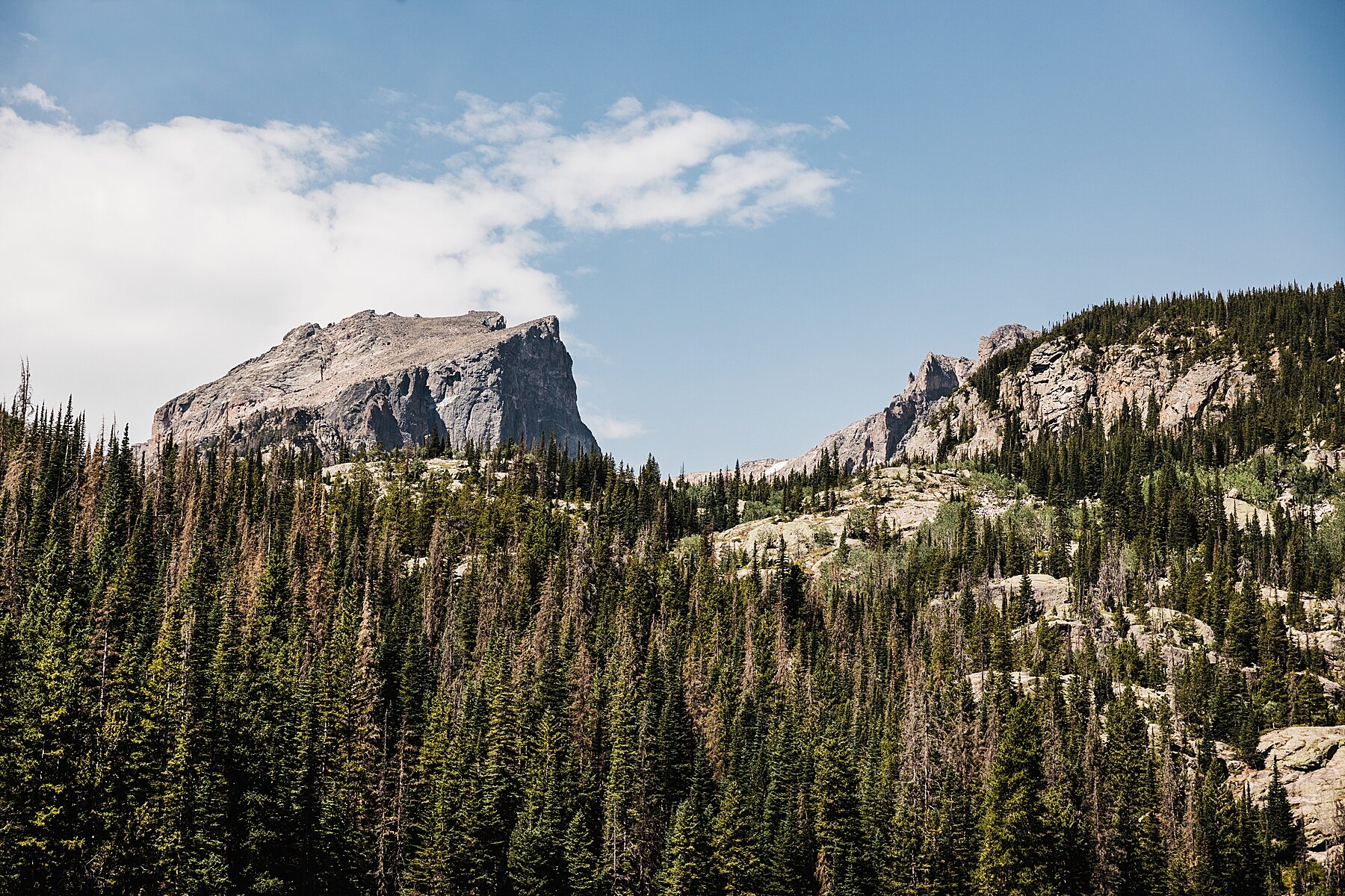 Sunrise Elopement at Sprague Lake in Rocky Mountain National Park | Colorado Elopement Photographer | Vow of the Wild