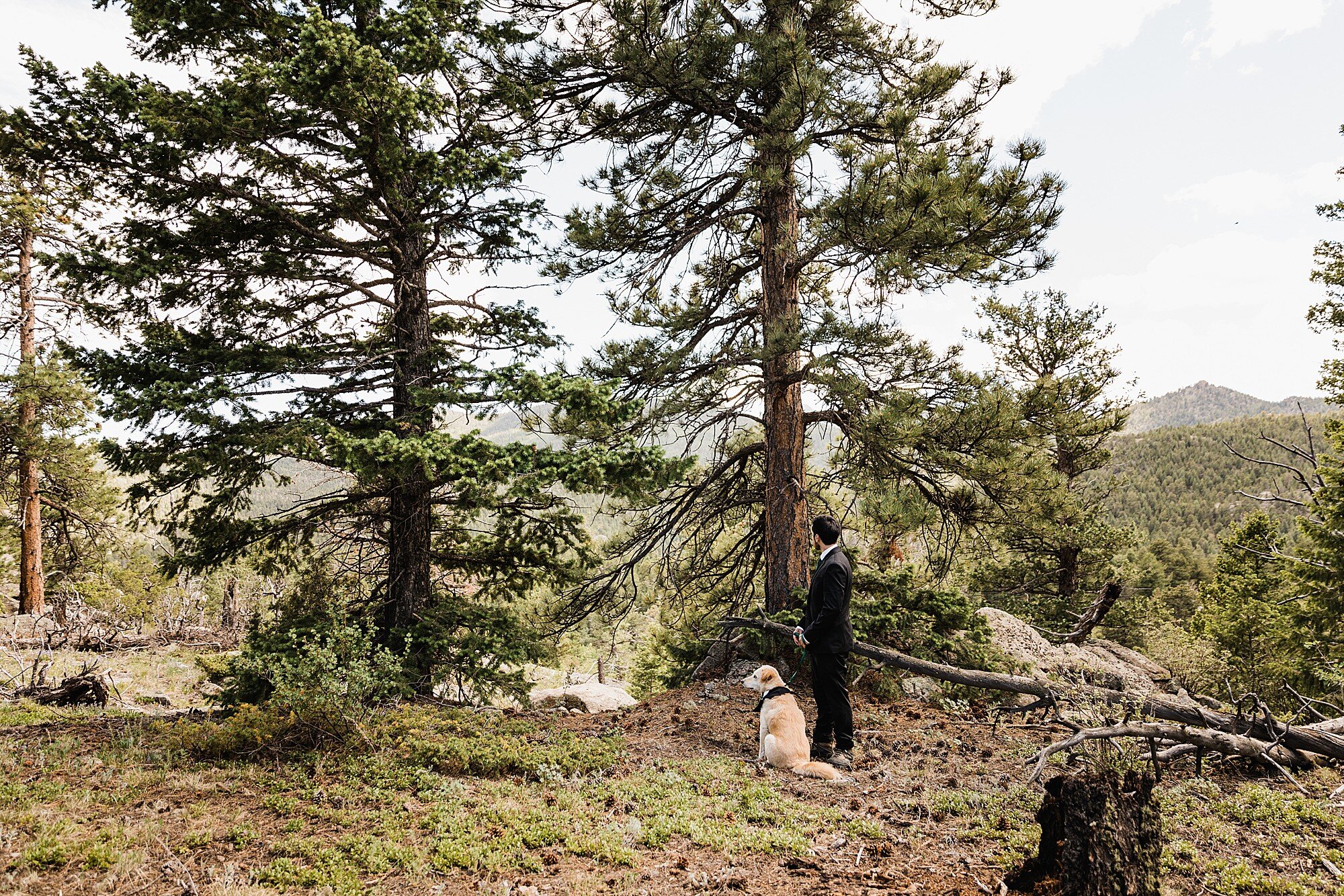 Rocky Mountain National Park Elopement | Colorado Elopement Photographer | Vow of the Wild