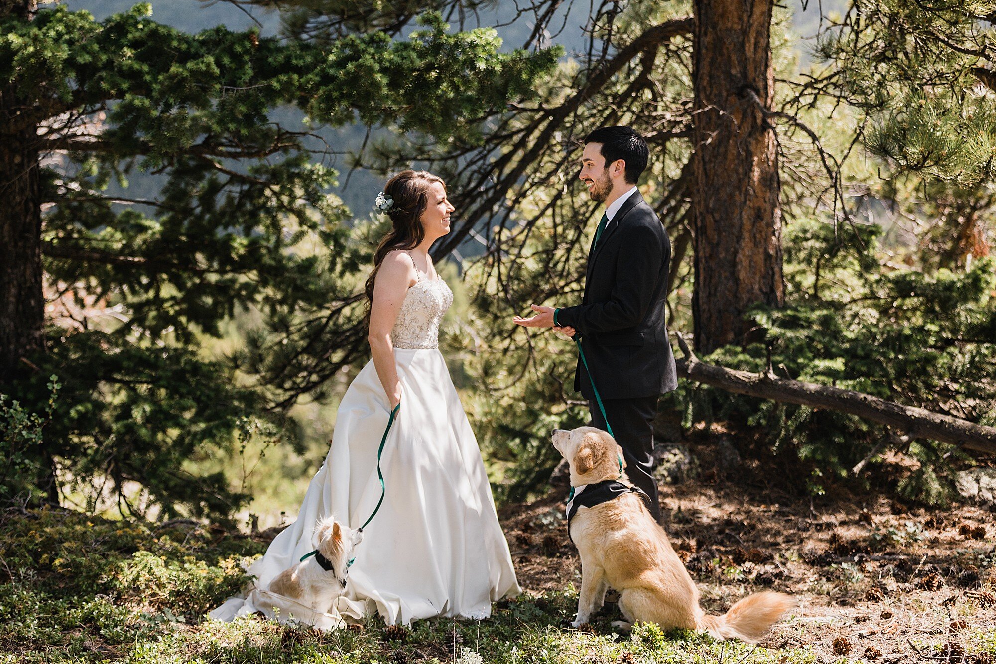 Rocky Mountain National Park Elopement | Colorado Elopement Photographer | Vow of the Wild