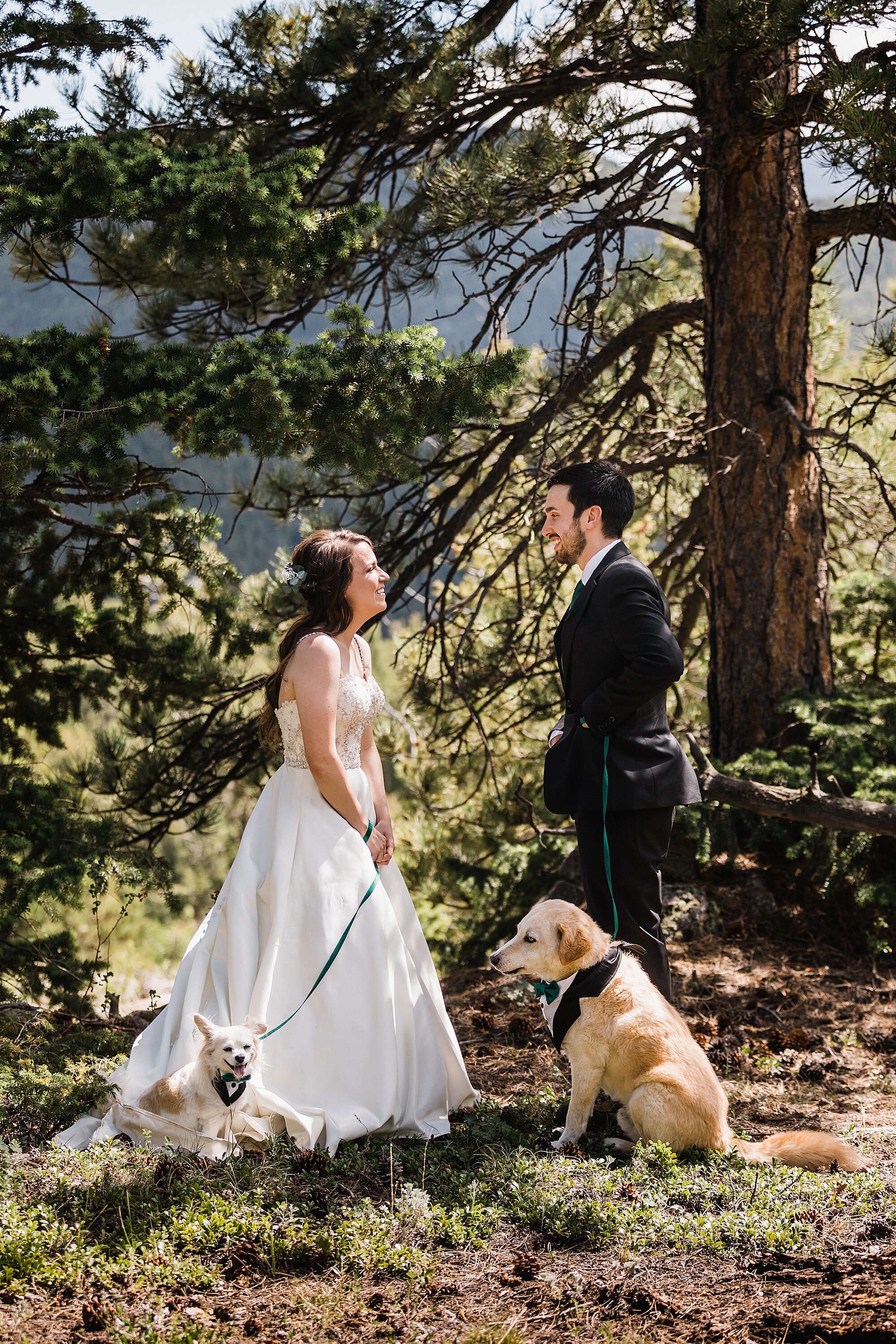 Rocky Mountain National Park Elopement | Colorado Elopement Photographer | Vow of the Wild