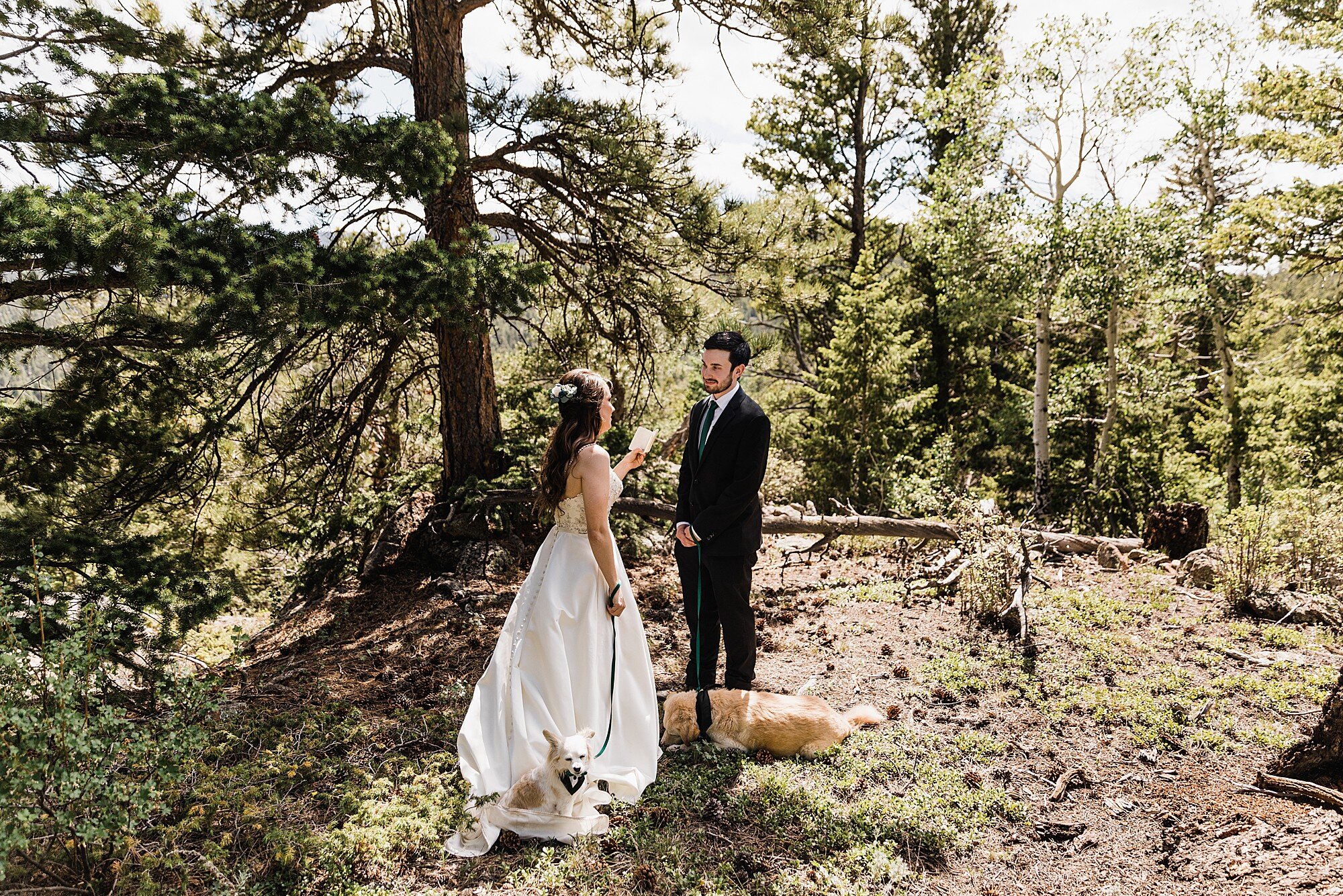 Rocky Mountain National Park Elopement | Colorado Elopement Photographer | Vow of the Wild