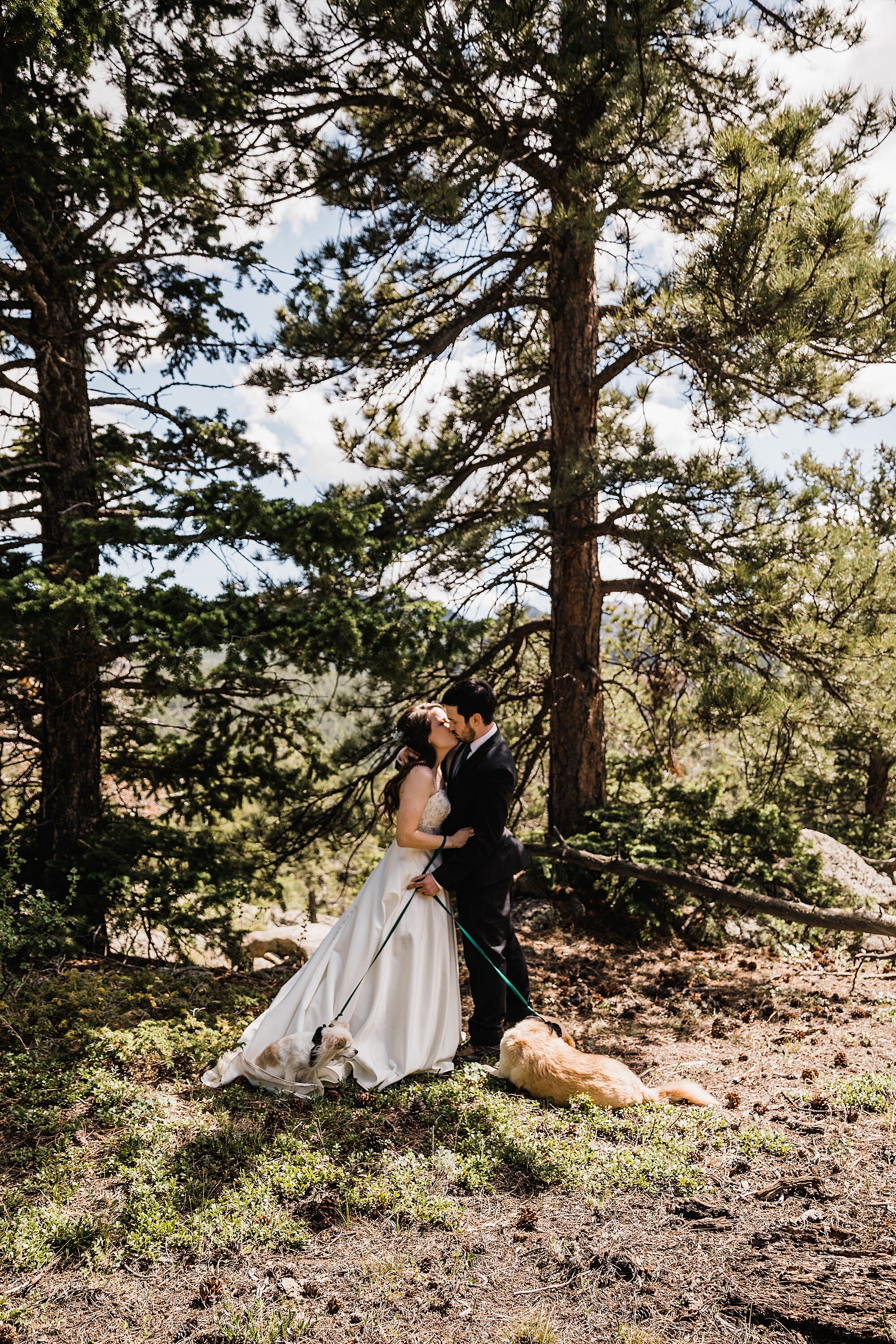 Rocky Mountain National Park Elopement | Colorado Elopement Photographer | Vow of the Wild