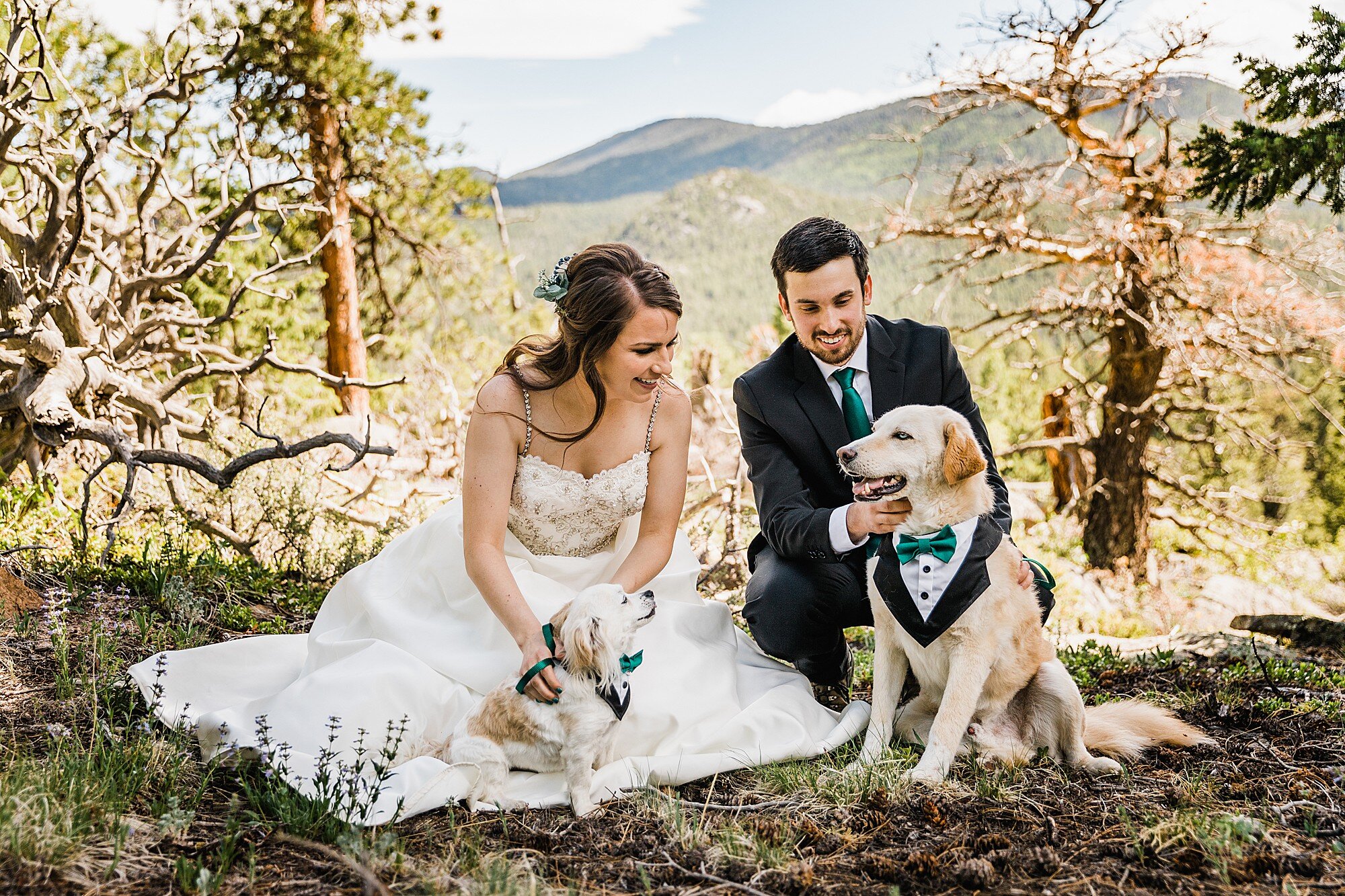 Rocky Mountain National Park Elopement | Colorado Elopement Photographer | Vow of the Wild