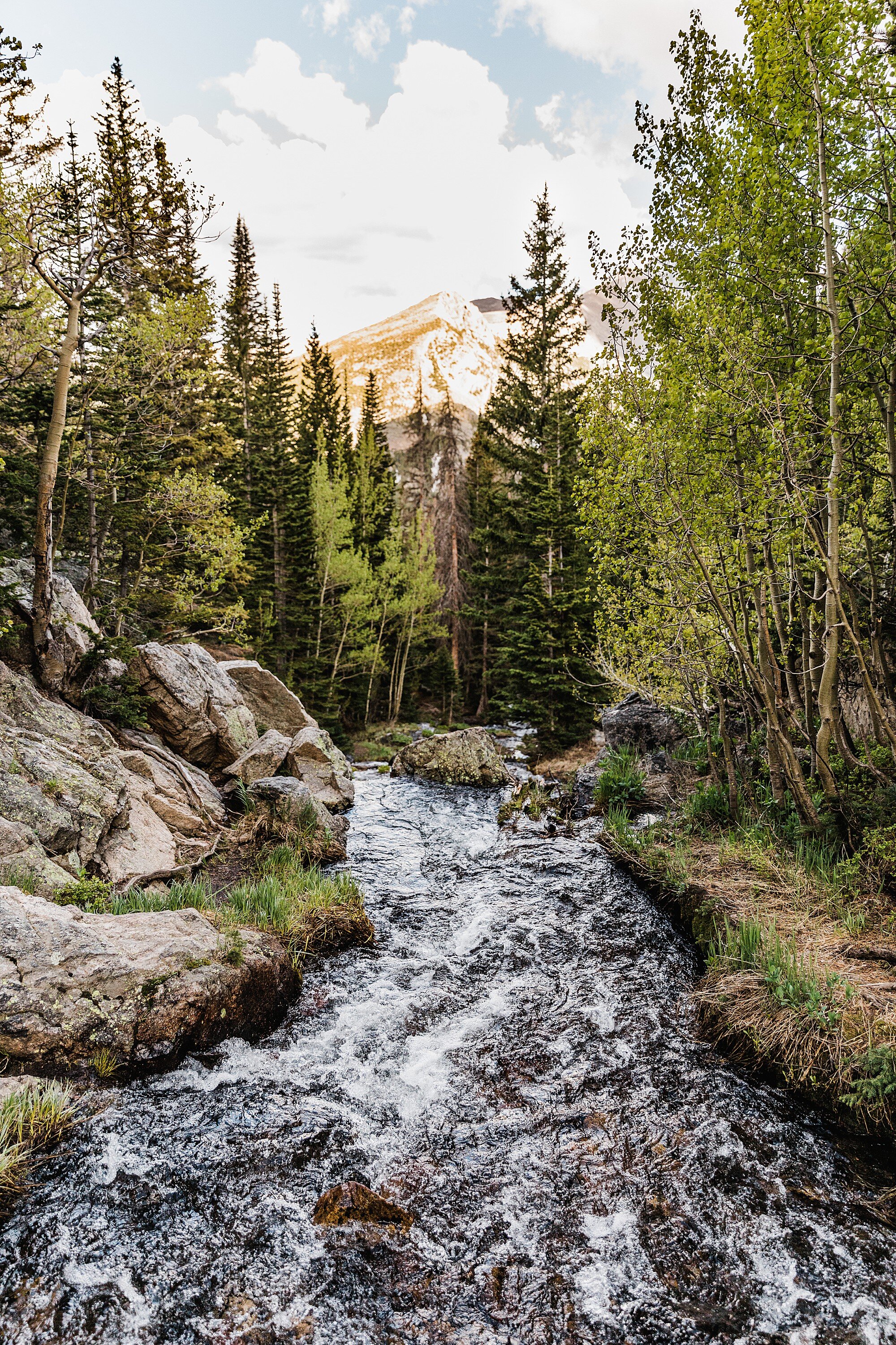 Rocky Mountain National Park Elopement | Colorado Elopement Photographer | Vow of the Wild