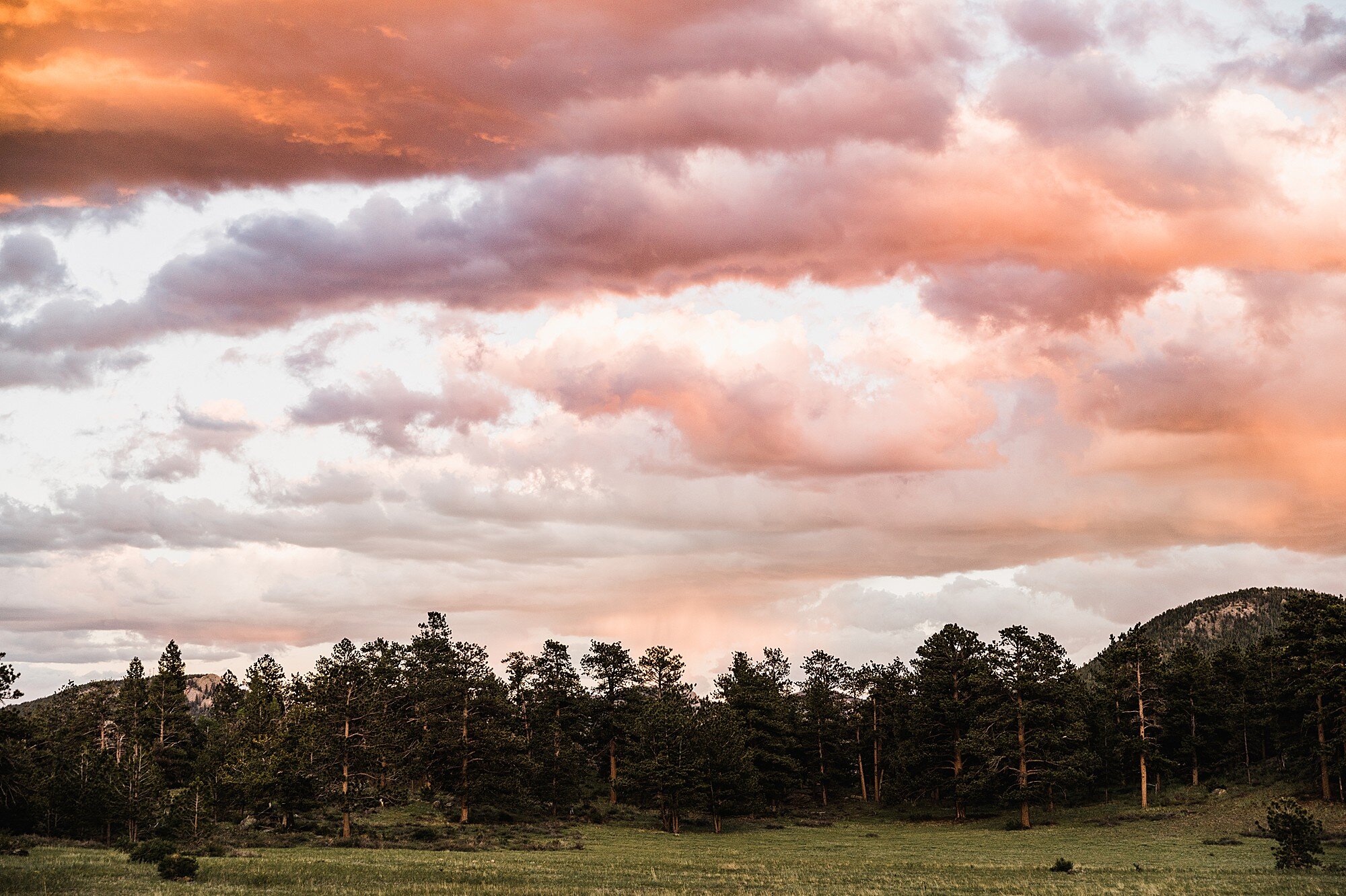 Rocky Mountain National Park Elopement | Colorado Elopement Photographer | Vow of the Wild