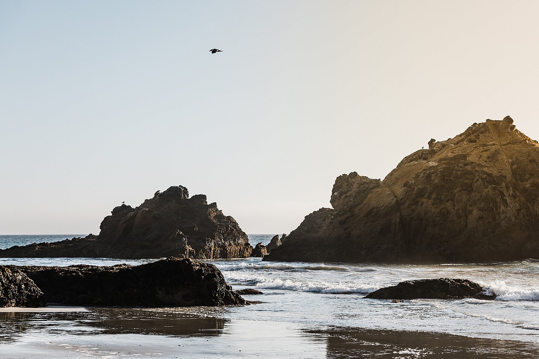 Big Sur Elopement at Pfieffer Beach | California Elopement Photographer | Vow of the Wild