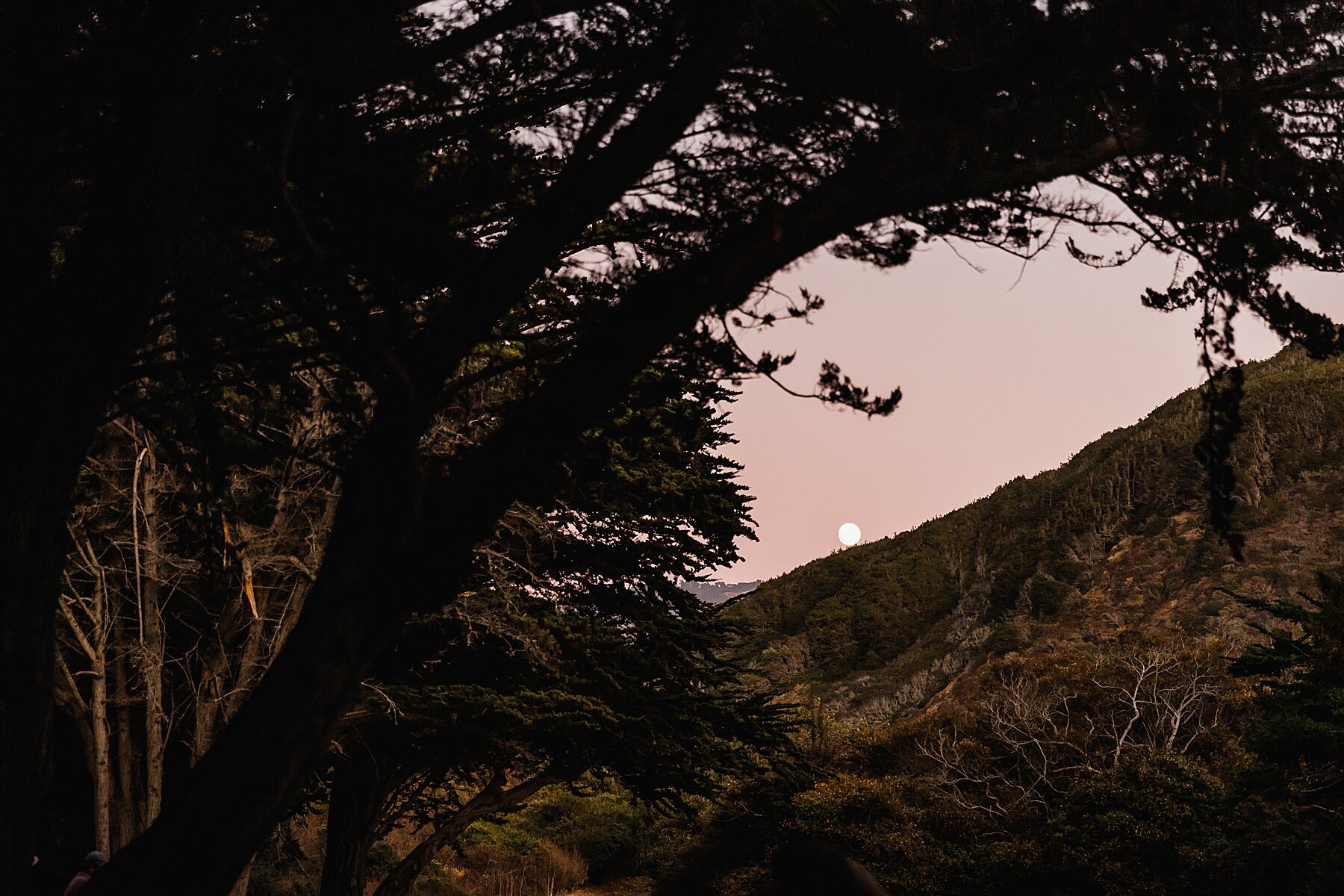 Big Sur Elopement at Pfieffer Beach | California Elopement Photographer | Vow of the Wild