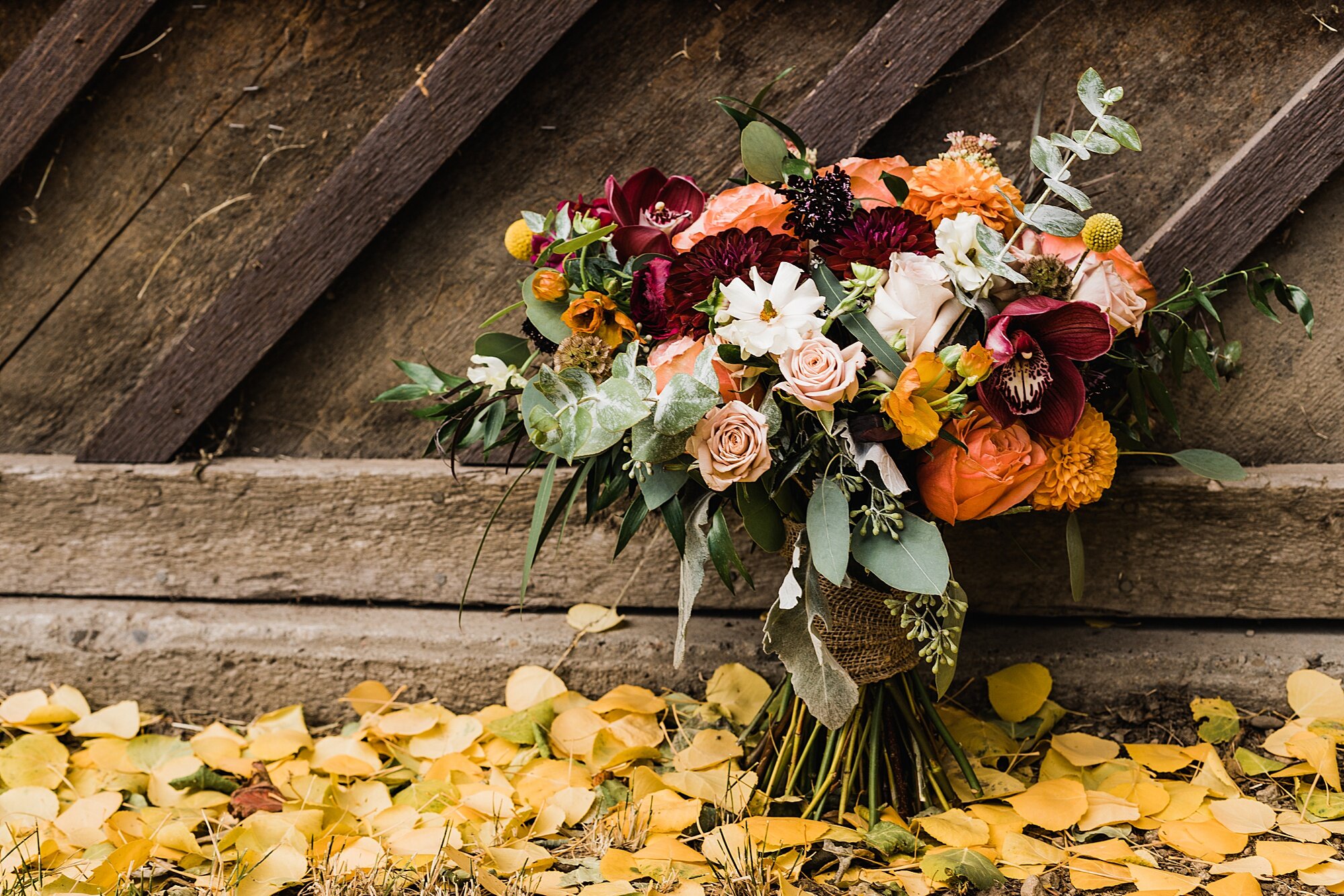 Fall Wedding in Crested Butte | Colorado Intimate Wedding Photographer | Vow of the Wild