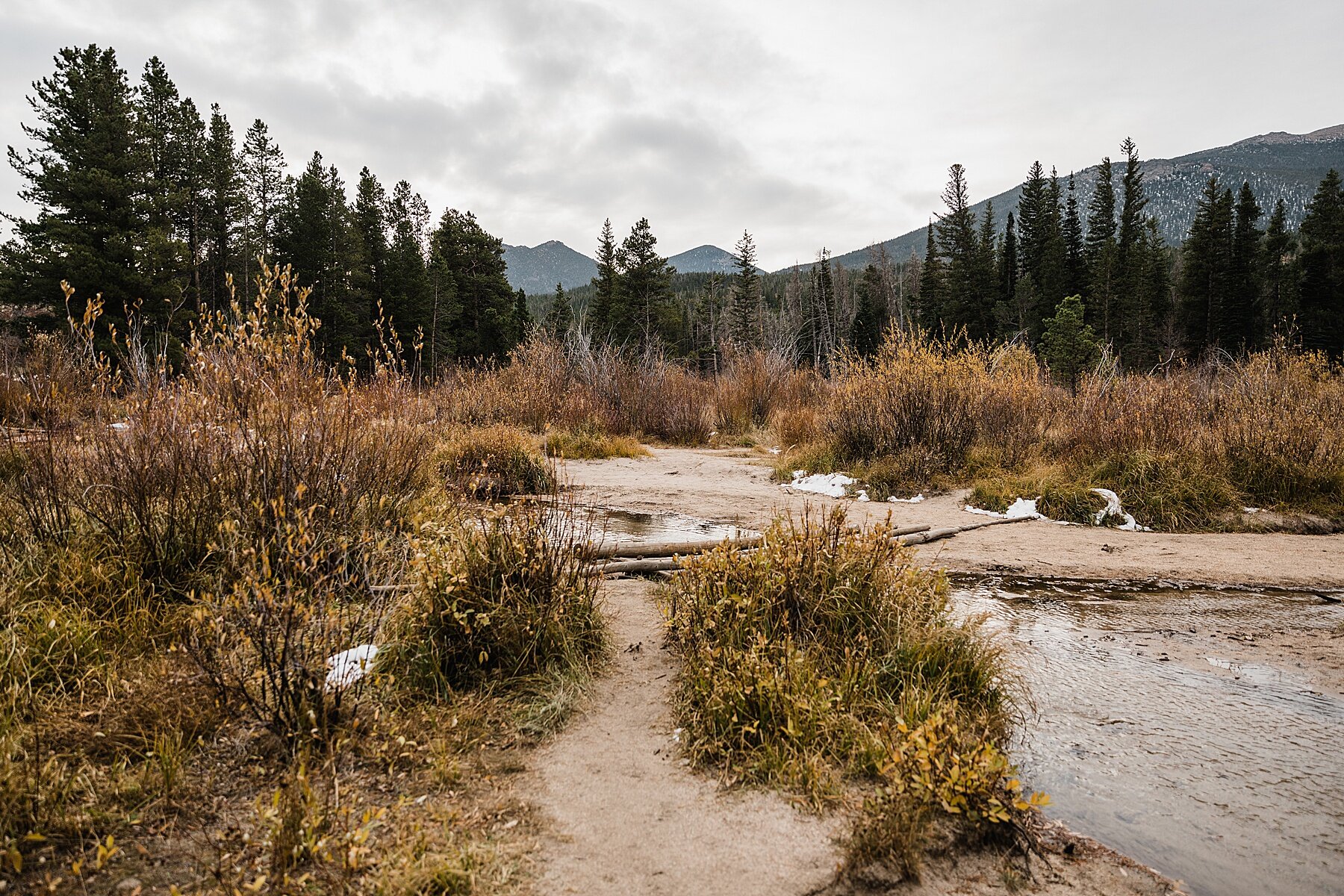 Sprague Lake Wedding Ceremony | Rocky Mountain National Park Wedding | Colorado | Vow of the Wild