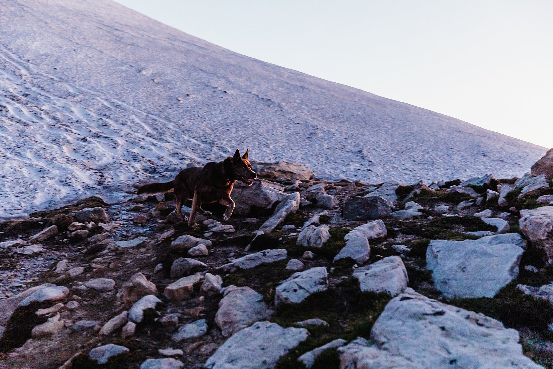 Sunrise Wyoming Hiking Elopement | Vow of the Wild