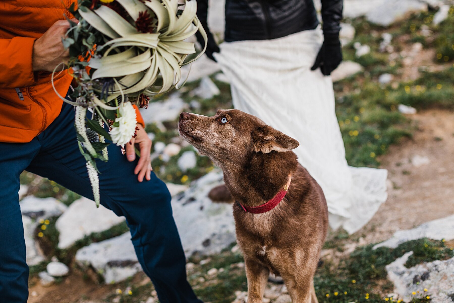 Sunrise Wyoming Hiking Elopement | Vow of the Wild