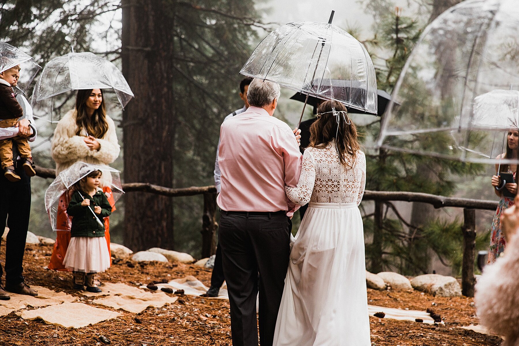 California Forest Elopement | Vow of the Wild