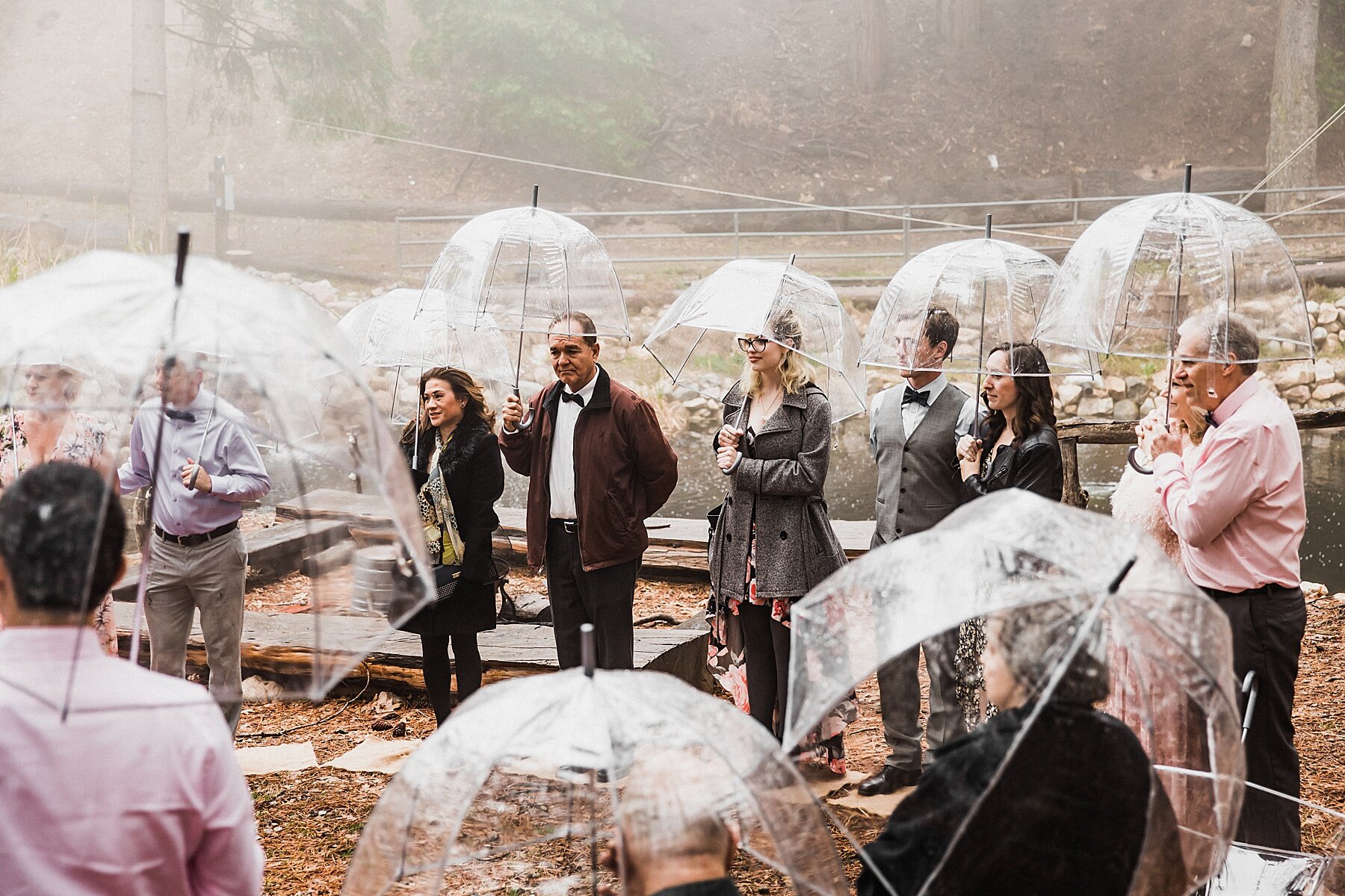 California Forest Elopement | Vow of the Wild