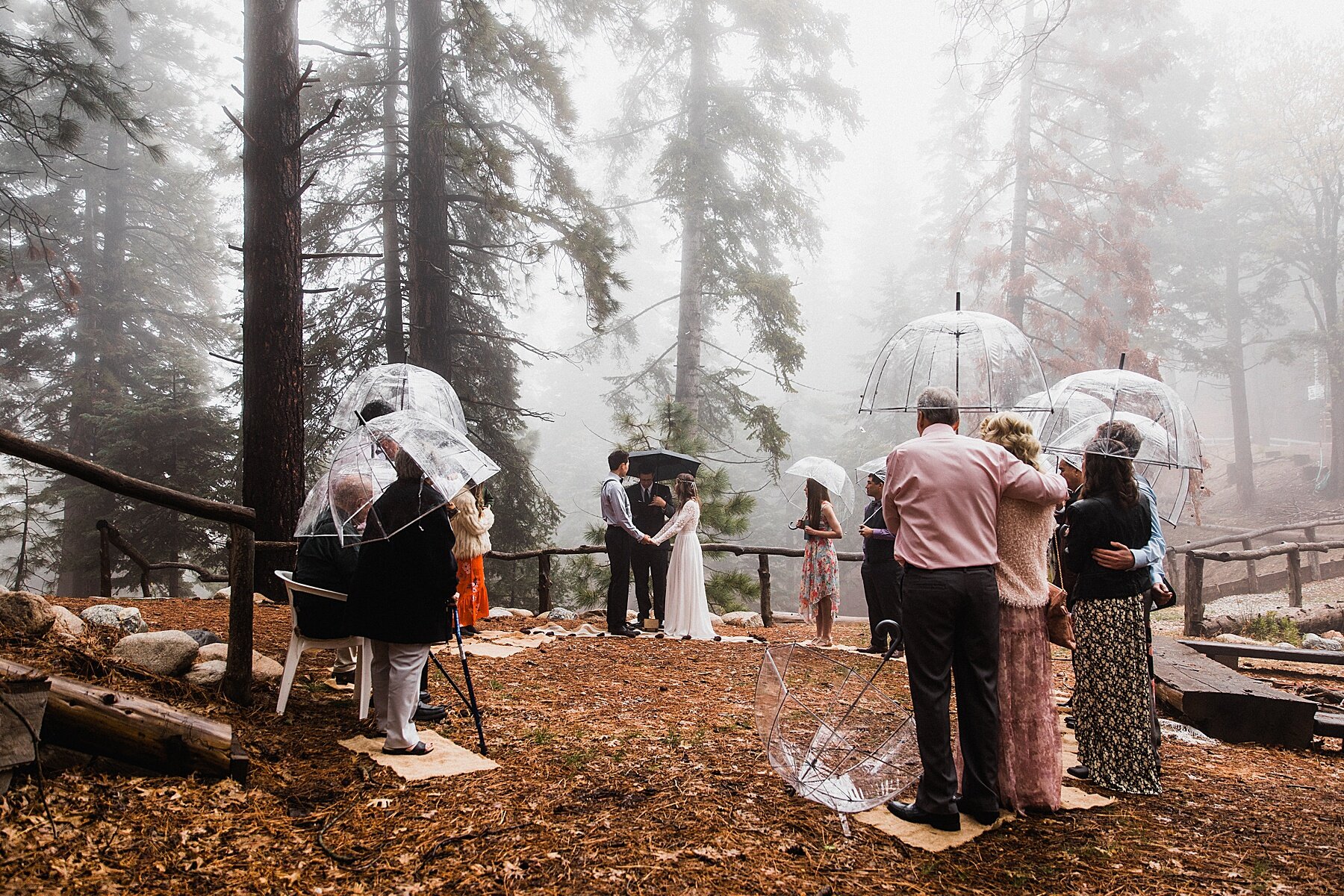 California Forest Elopement | Vow of the Wild