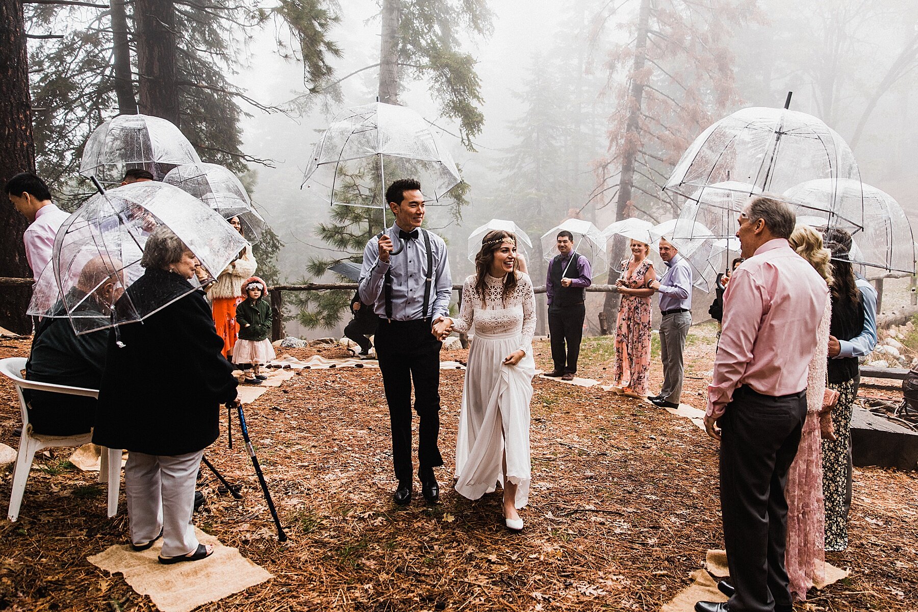 California Forest Elopement | Vow of the Wild