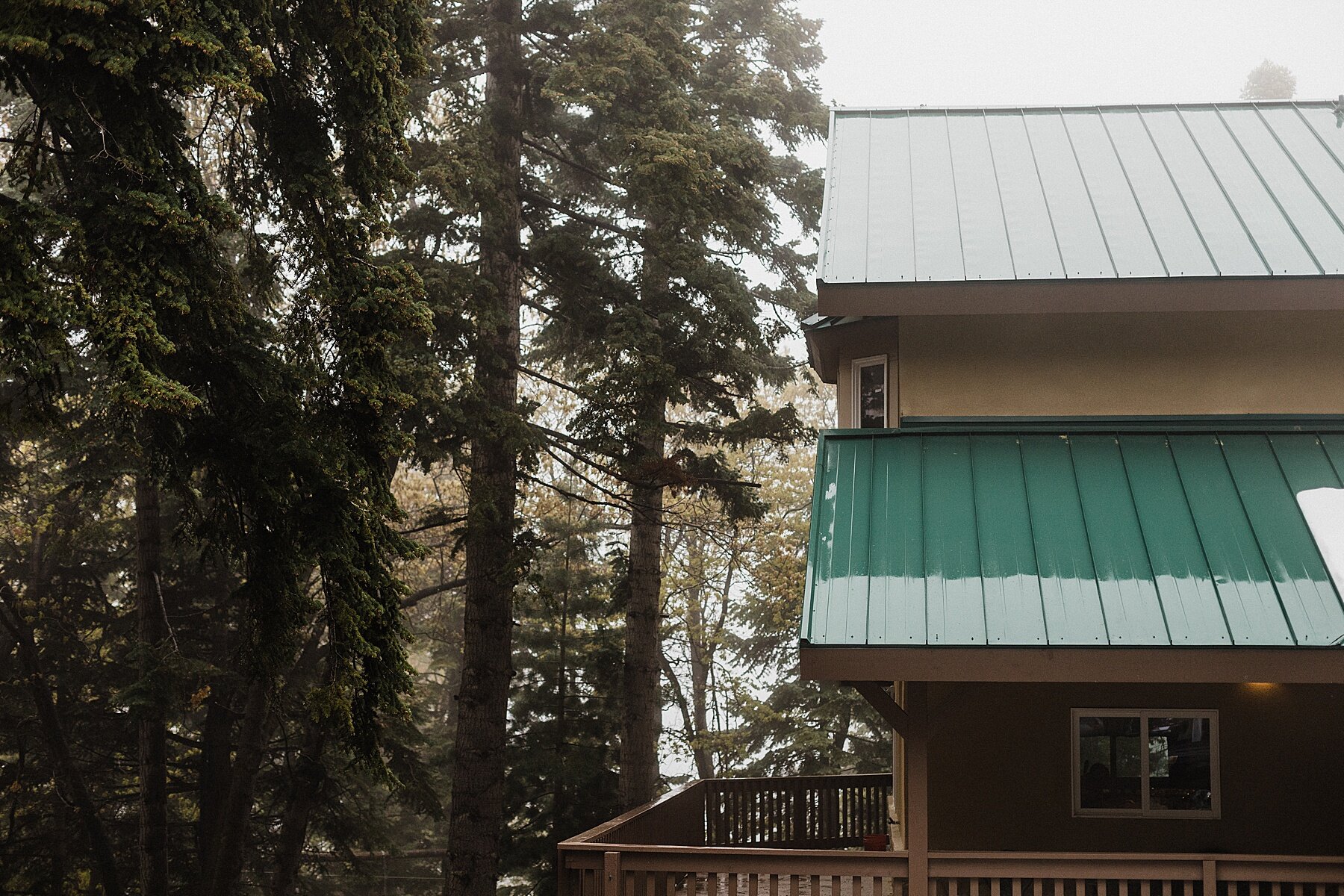 California Forest Elopement | Vow of the Wild