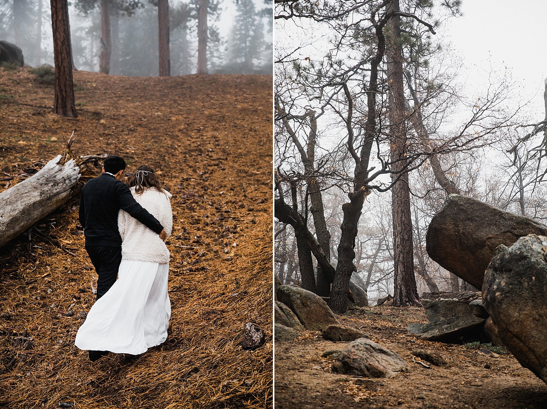 California Forest Elopement | Vow of the Wild